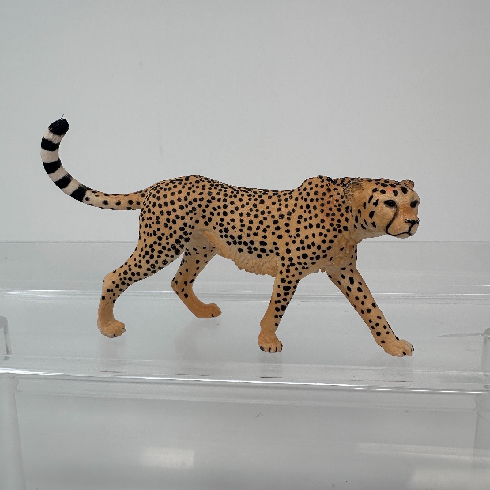 Schleich Cheetah Figure Spotted Large Cat Female Wildlife Zoo Animal Figurine