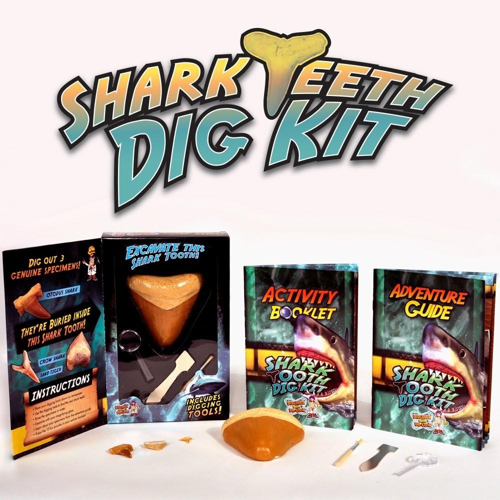 Discover with Dr. Cool Shark Tooth Dig Kit – Dig Up 3 Real Shark Teeth Fossils!