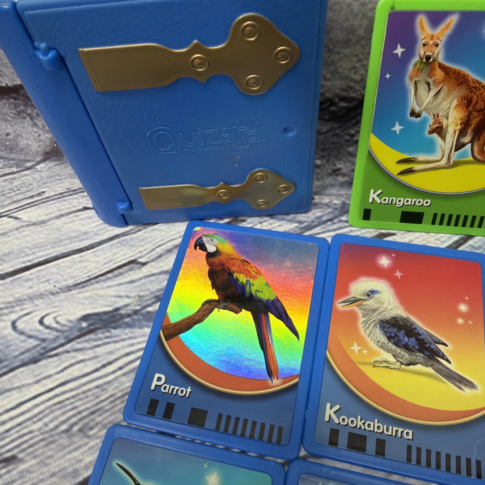 Vntg 2006 Fisher-Price Quizard Learning Wizard Dog – Interactive Cards Only