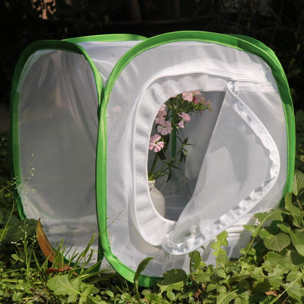 RESTCLOUD Insect and Butterfly Habitat 12 X 12 X 12 Inches, White with Green