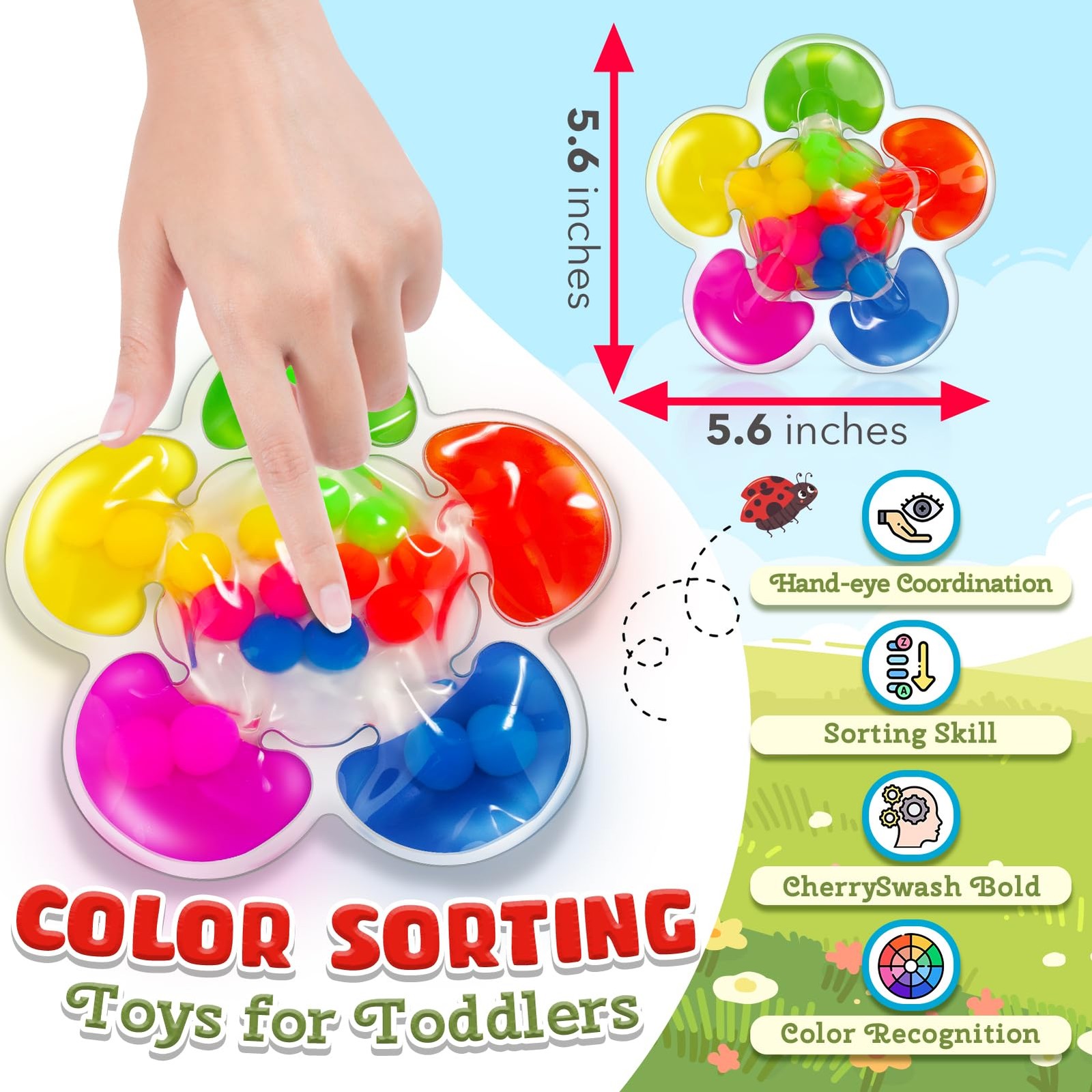 ZaxiDeel Color Sorting Toys Medium, Red, Orange, Yellow, Green, Blue, Purple