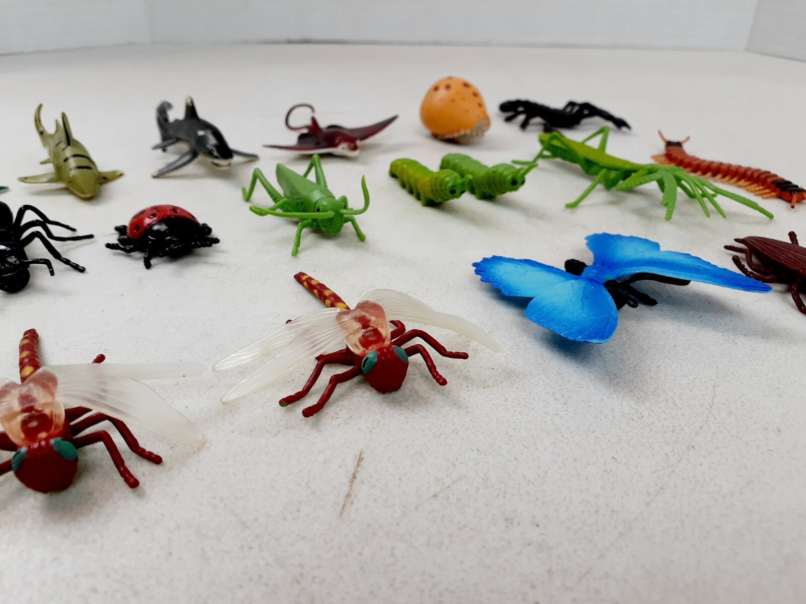 Lot Of 20 Safari Ltd Mini Figures Bugs Insects 2″-3″ Cake Toppers Education 524