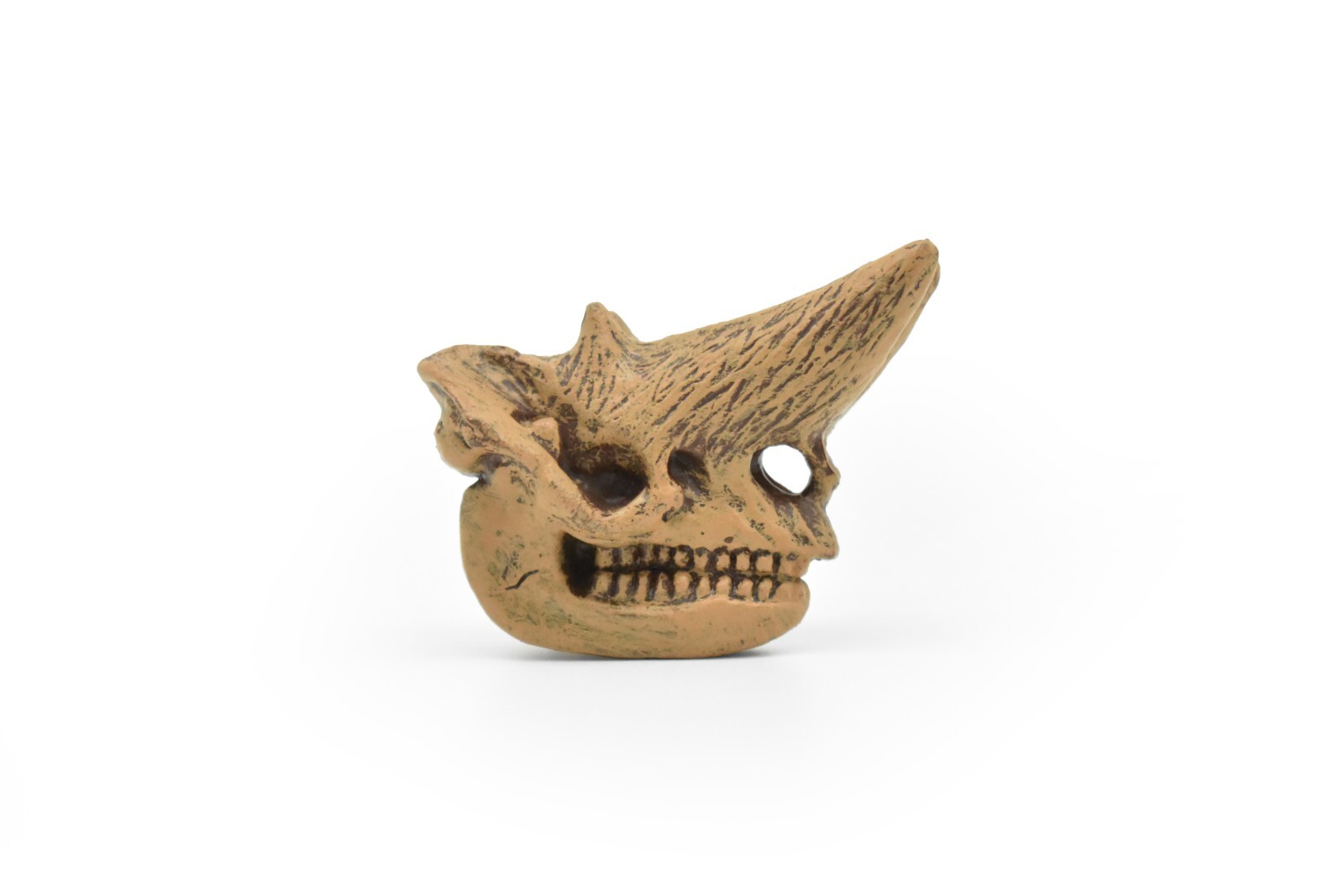 Arsinoitherium, Fossil Skull, Very Nice Plastic Replica 2″ X 1 3/4″ F3519 B224