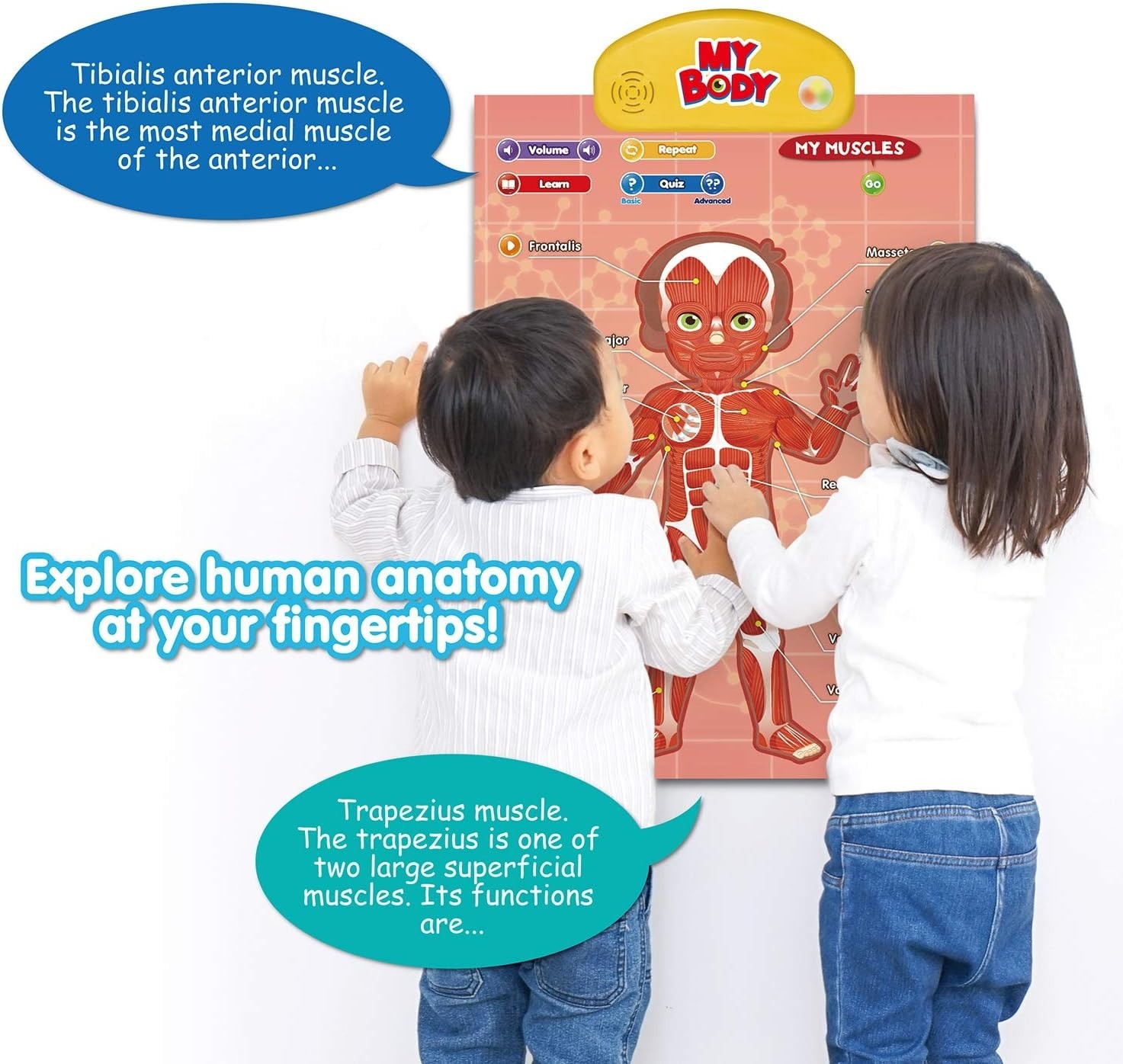 BEST LEARNING i-Poster My Body – Interactive Educational Human Anatomy Talking T