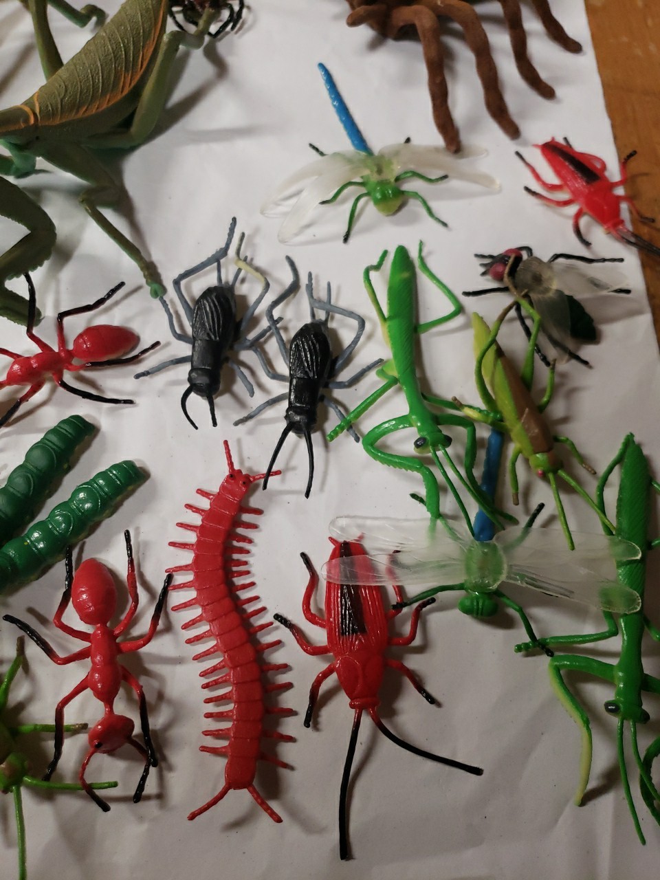 Mixed Lot Of 41 Insects & Reptile Toy Figures, Science, Educational, Nature