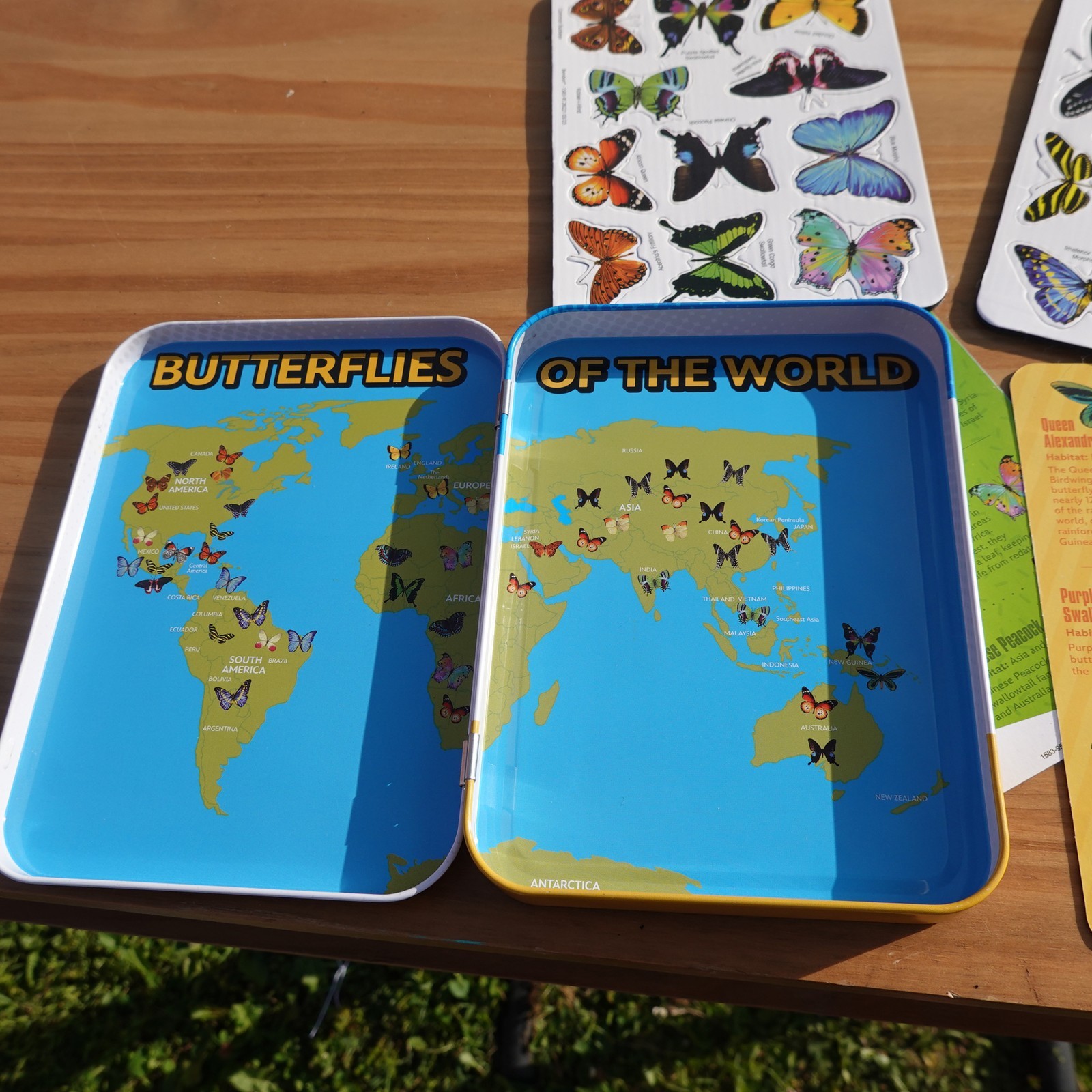 Bendon Disney Butterflies Of The World Magnetic Learning Activity STEM