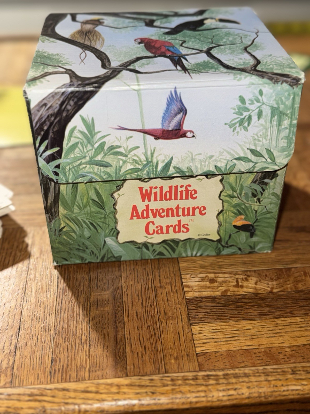 EUC! Wildlife Adventure Cards Educational Cards By Grolier 1991 Homeschooling