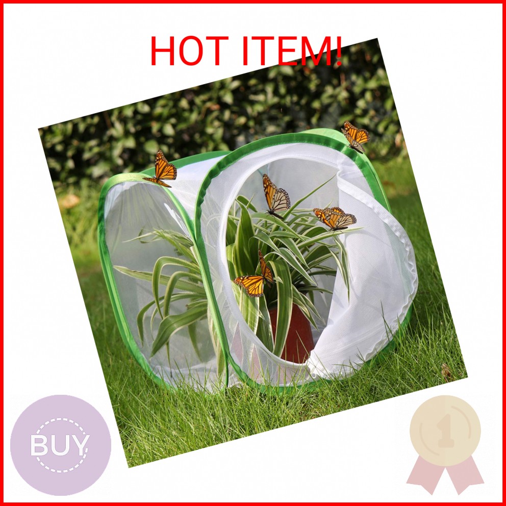 RESTCLOUD Insect and Butterfly Habitat Cage Terrarium Pop-up 12 X 12 X 12 Inches