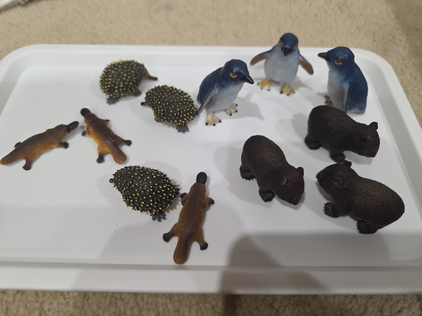 Australia Animal Toy Figures Penguin Wombat Echidna Platypus Science Nature
