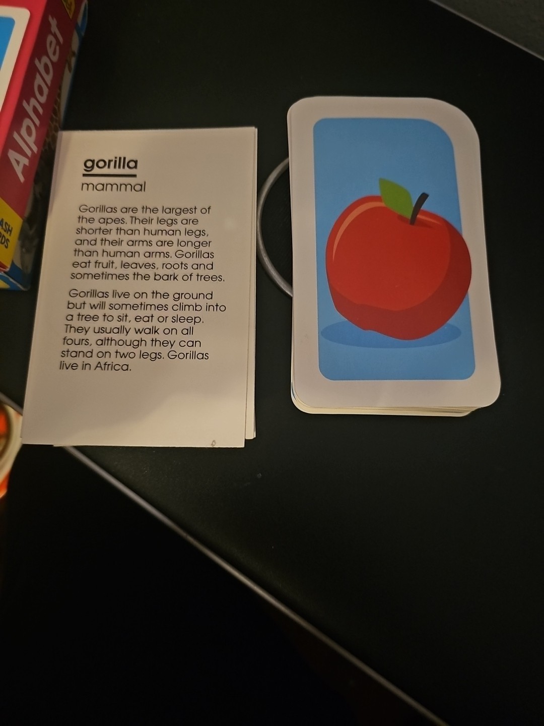 Set Of 2 Flash Cards For Ages 3 And Up