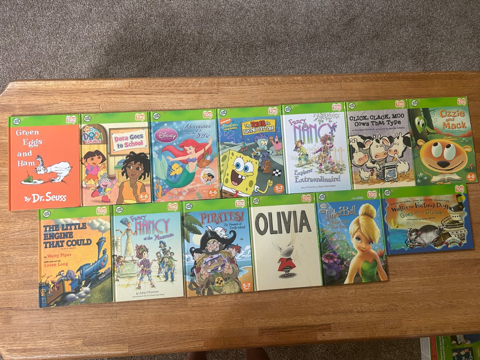 GUC Leap Frog Tag Reading System w/Pen, USB Cable, CD, 14 Books & Carrying Case