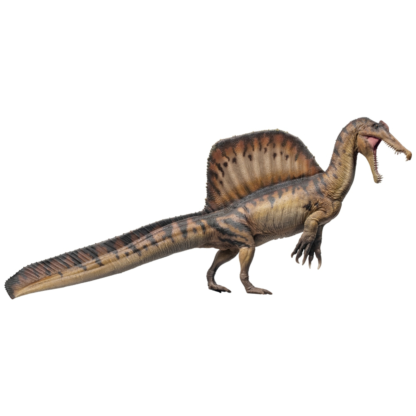 PNSO 19 Spinosaurus AYMEN Model Dinosaur Museums Series Scientific GK Decoration