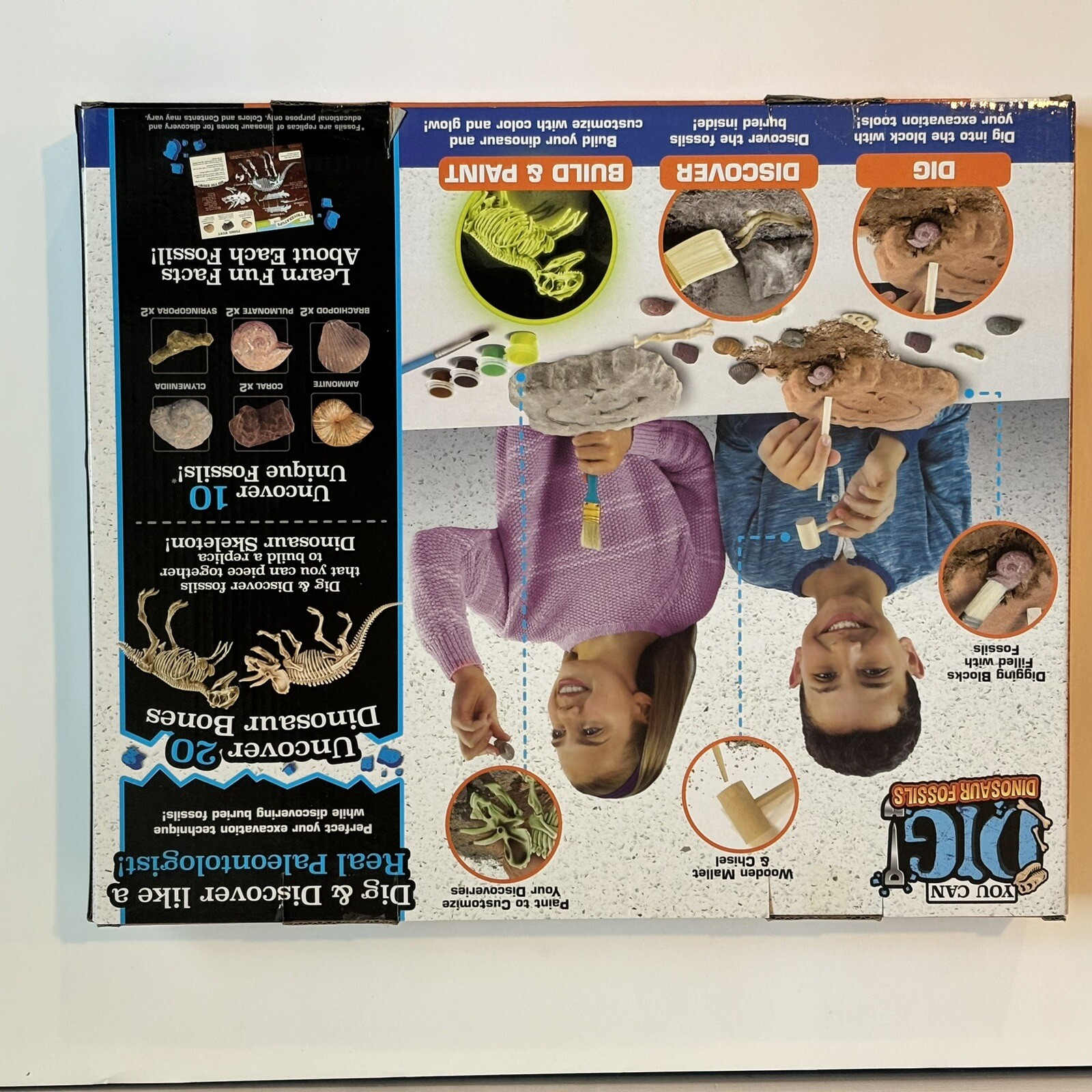Dinosaur Fossil Activity Kit — Epic labs, NEW & Unopened
