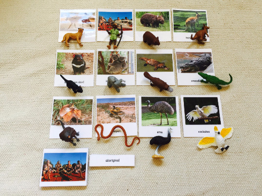 Montessori Knowing Australia 3 Parts Cards with Miniatures
