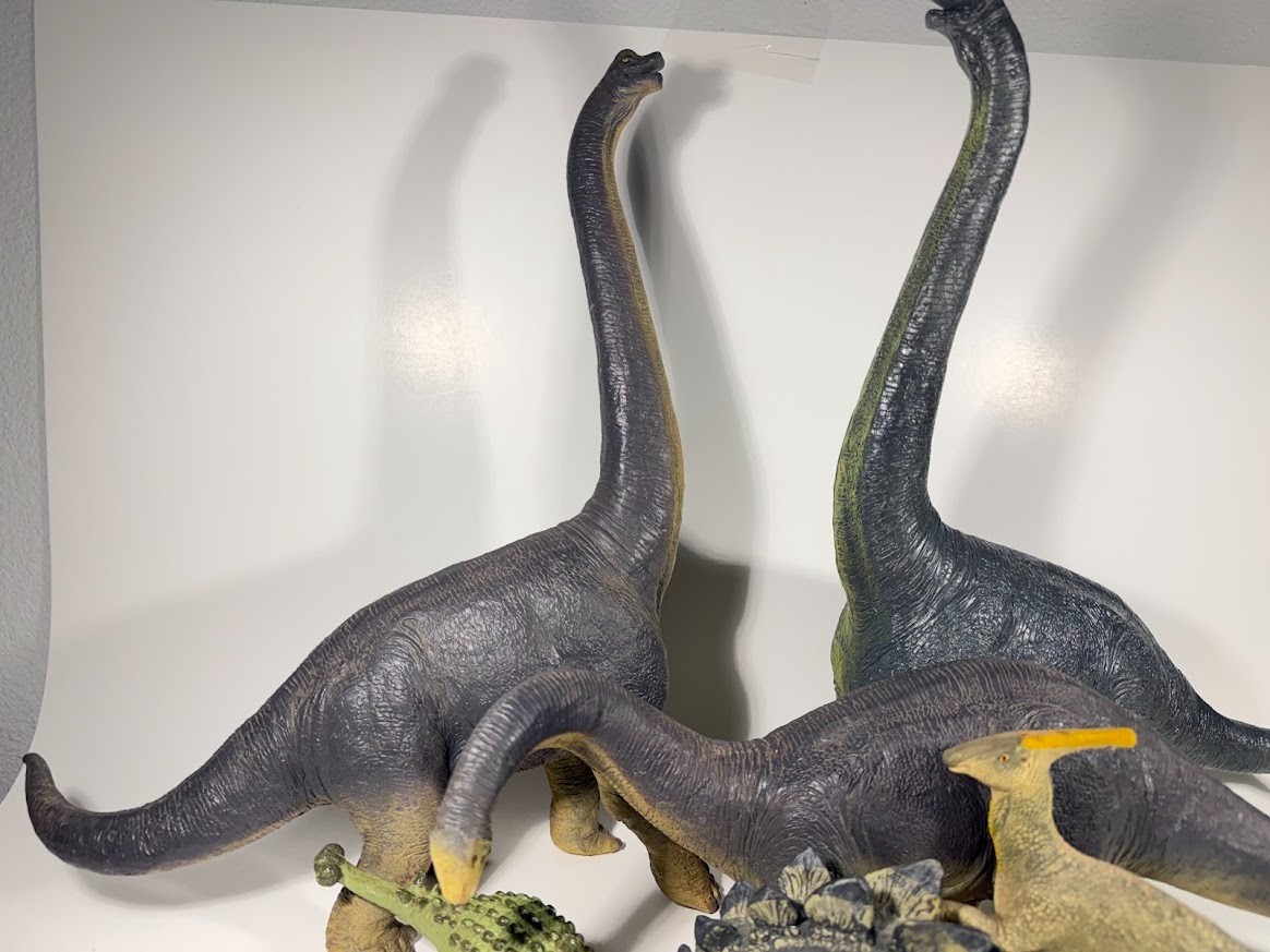Safari Ltd Dinosaur Toy Carnegie Gray Washed Collection HIGHLY RARE