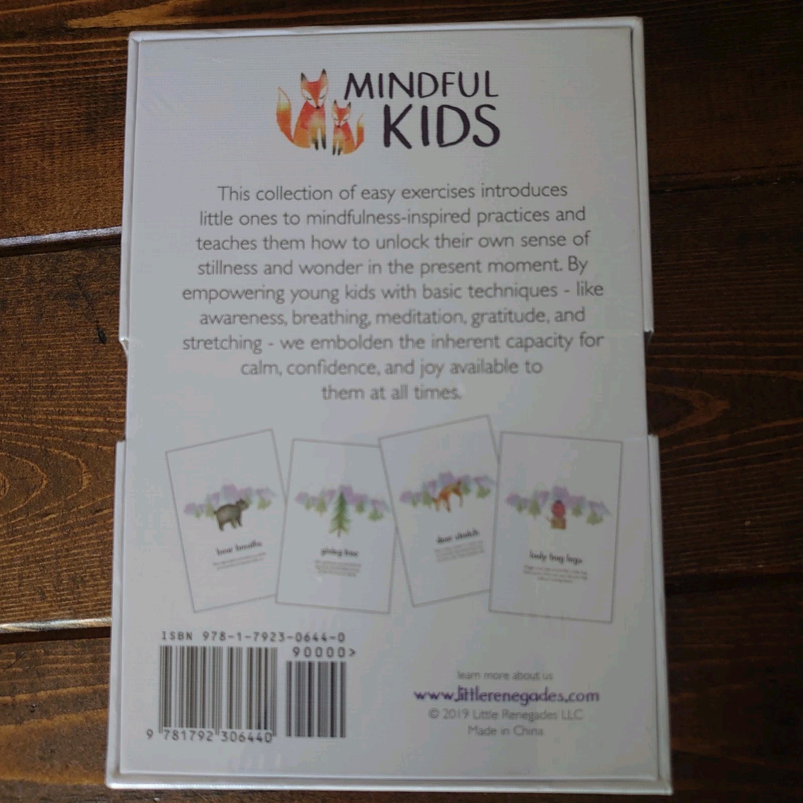 Little Renegades Mindful Kids Cards Ages 3+ Daily Exercises of Mindfulness NEW