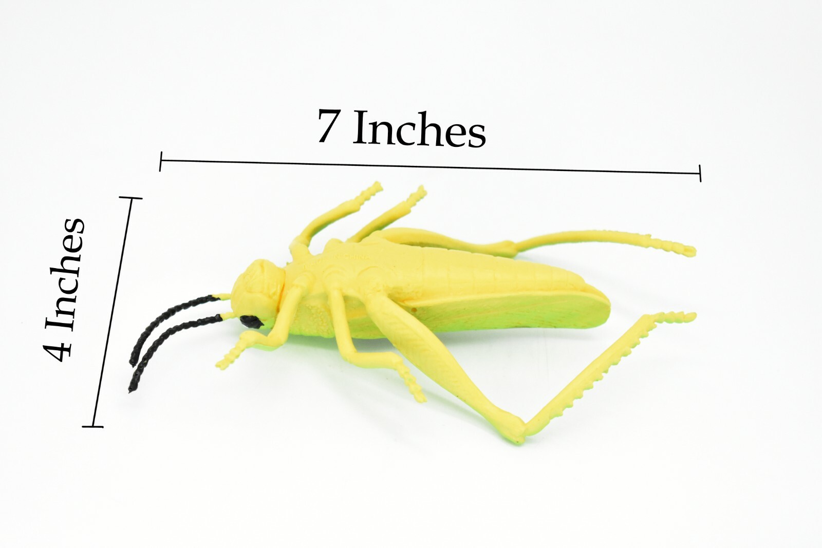 Grasshopper, Rubber Toy Insect, Realistic Figure, Model, Replica Kids 7″ F2059