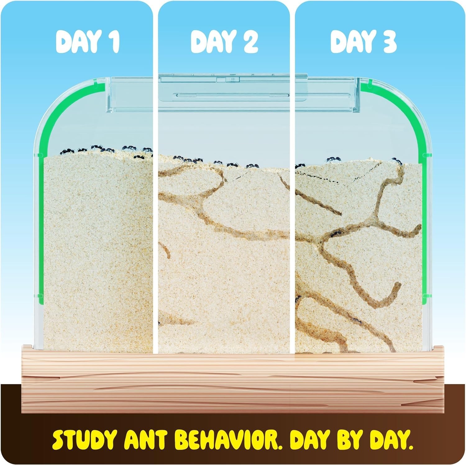 Ant Farm Kit for Kids – Farms Colony – Includes Ants Voucher – Sand Habitat K…
