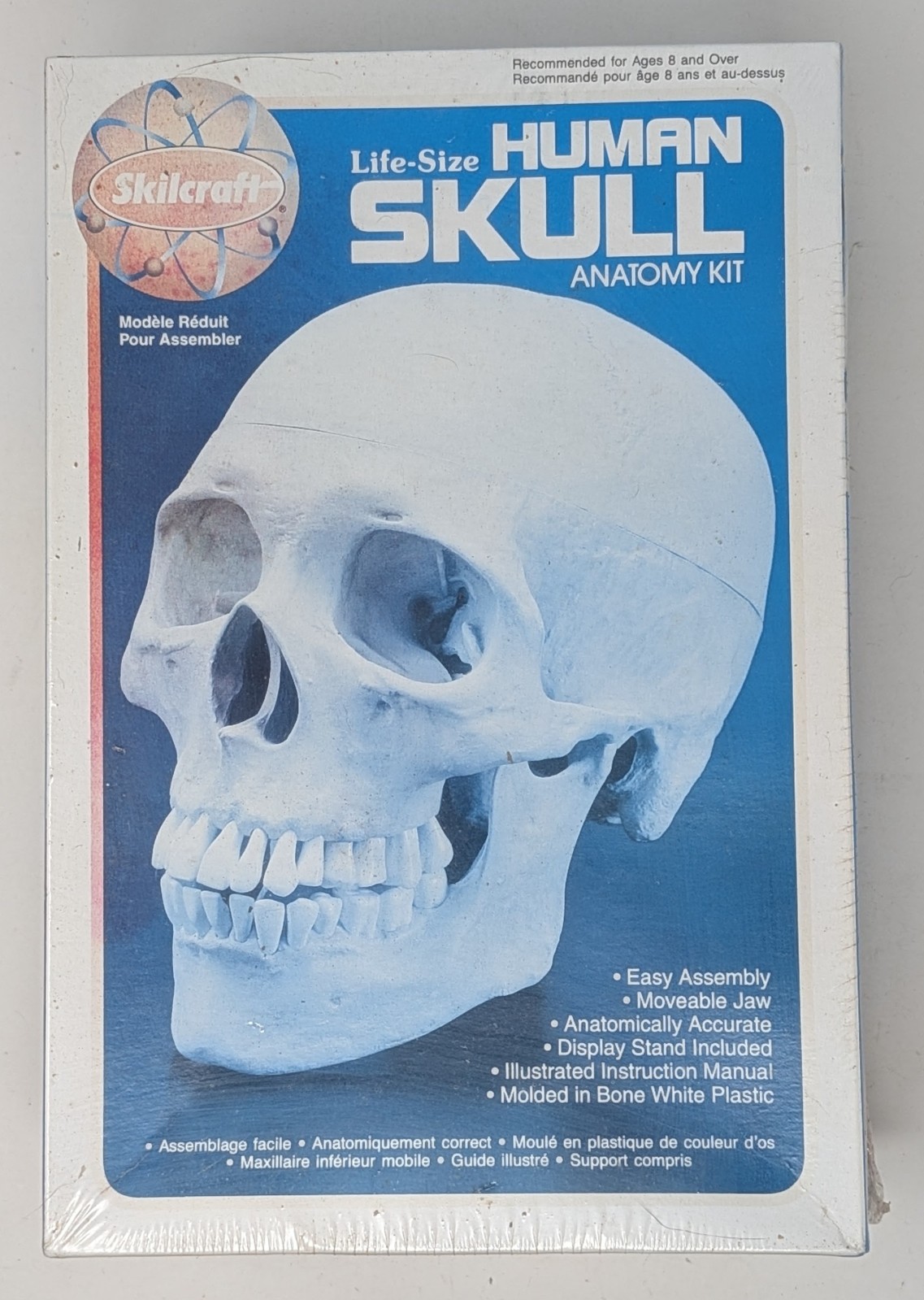 Vintage Skilcraft Life-Size Human Skull Anatomy Model Kit No. 74625 1996 – New