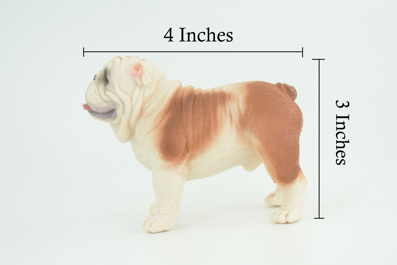 English Bulldog Toy, Realistic Hand Painted Rubber Model, 5 Inches CH844 BB197