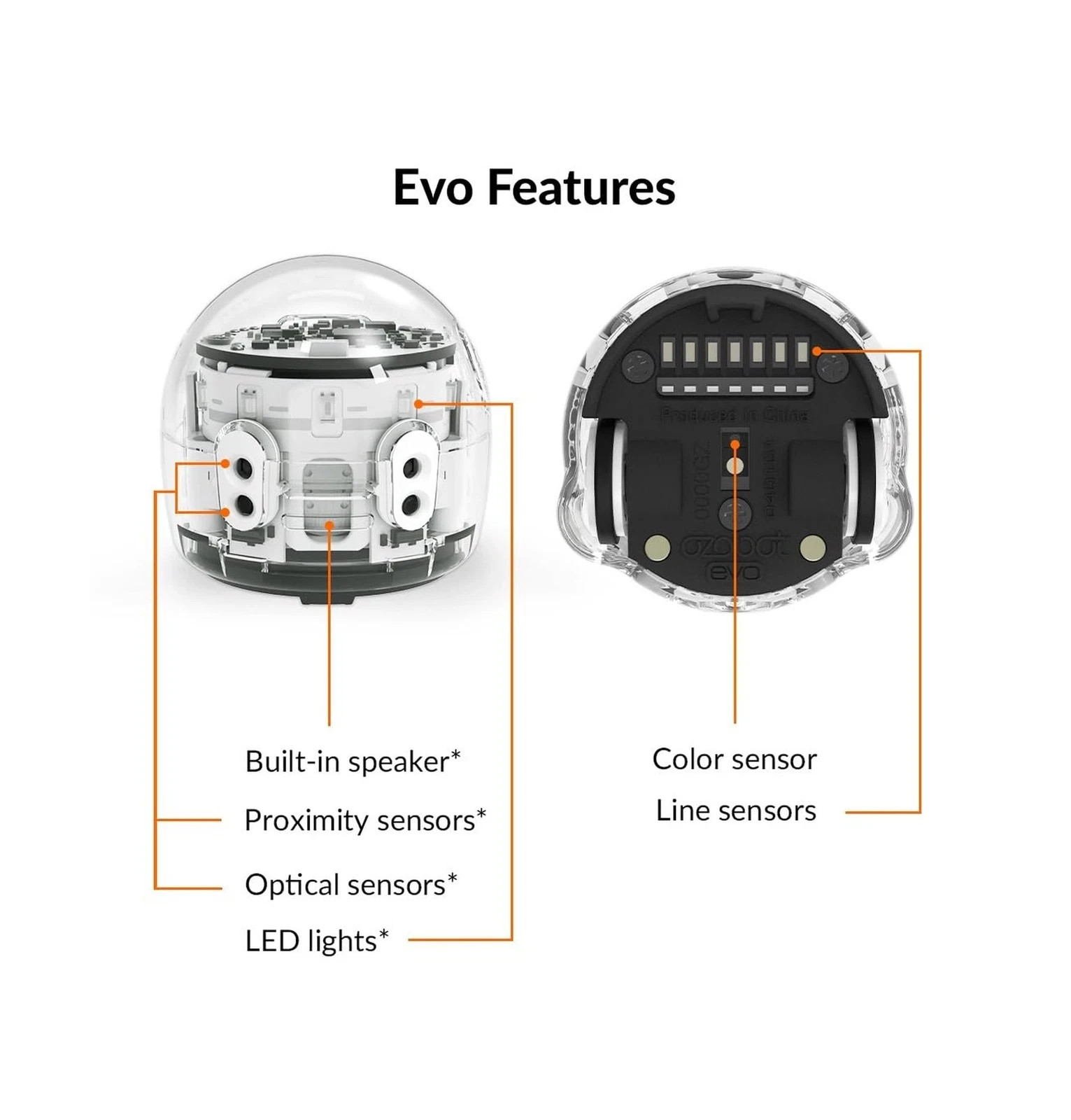 Evo Entry Kit: Interactive Coding Robot, Kids Ages 5+, Includes Color Code Ma…