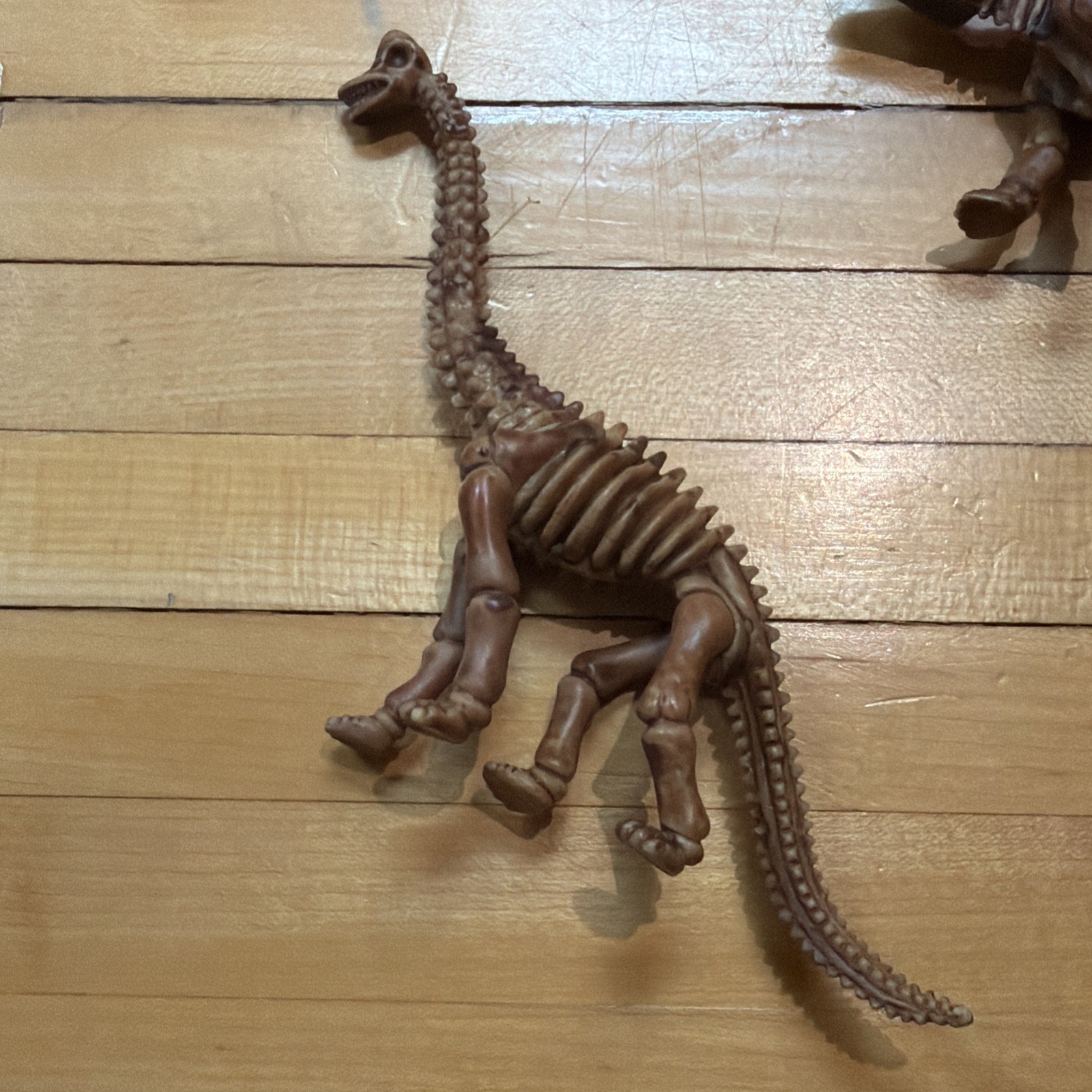 Lot Of Toy Dinosaur Bones Skulls Skeletons For Sensory Table