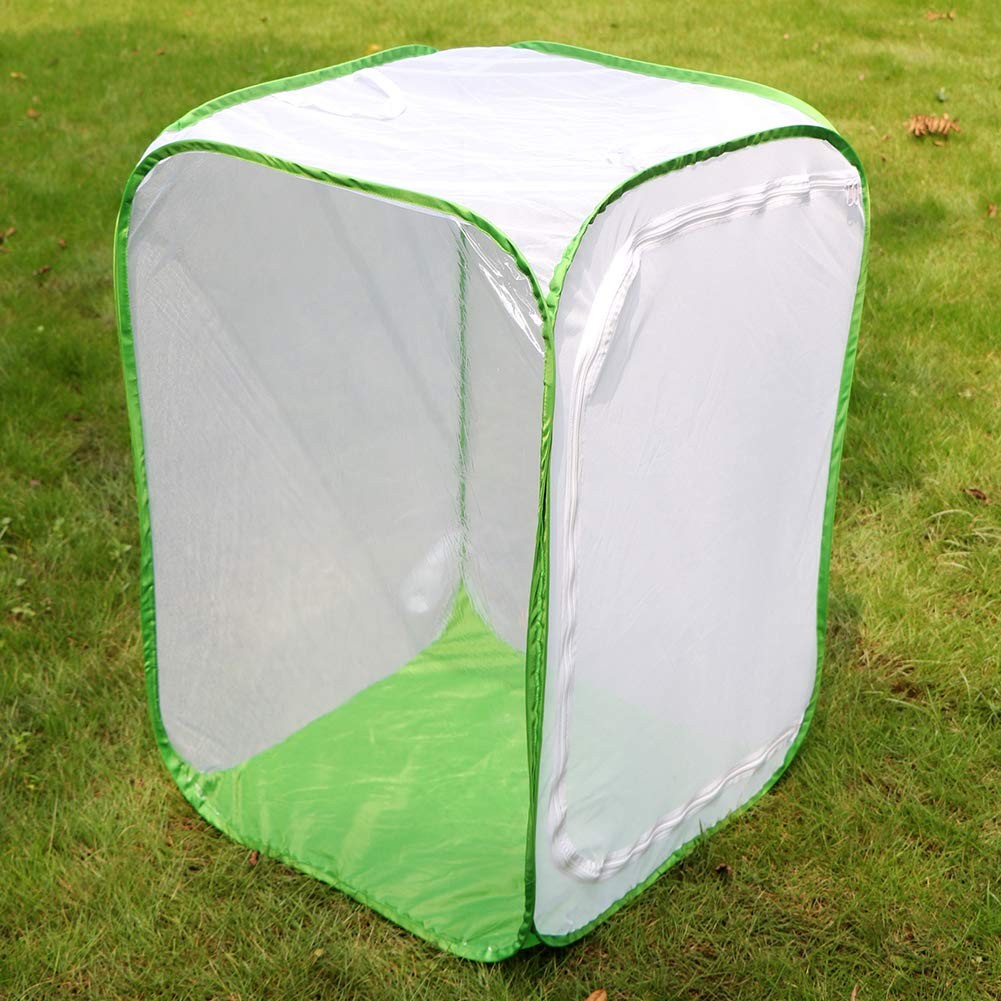RESTCLOUD 36″ Large Monarch Butterfly 24 x 24 x 36 inches, White with Green