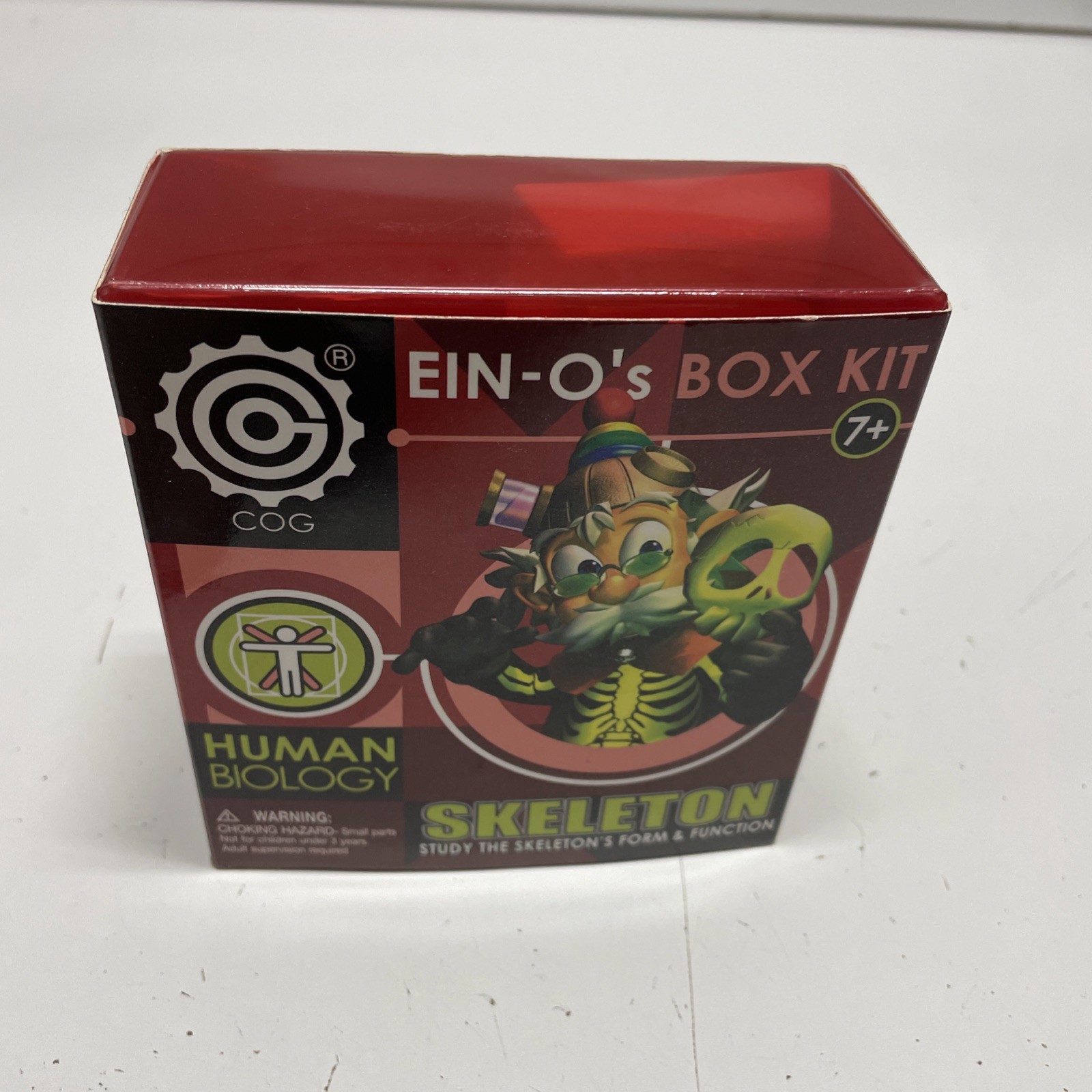 Ein-O’s – SKULL & SKELETON – Models of Human Skeleton – A STEM Science Toy