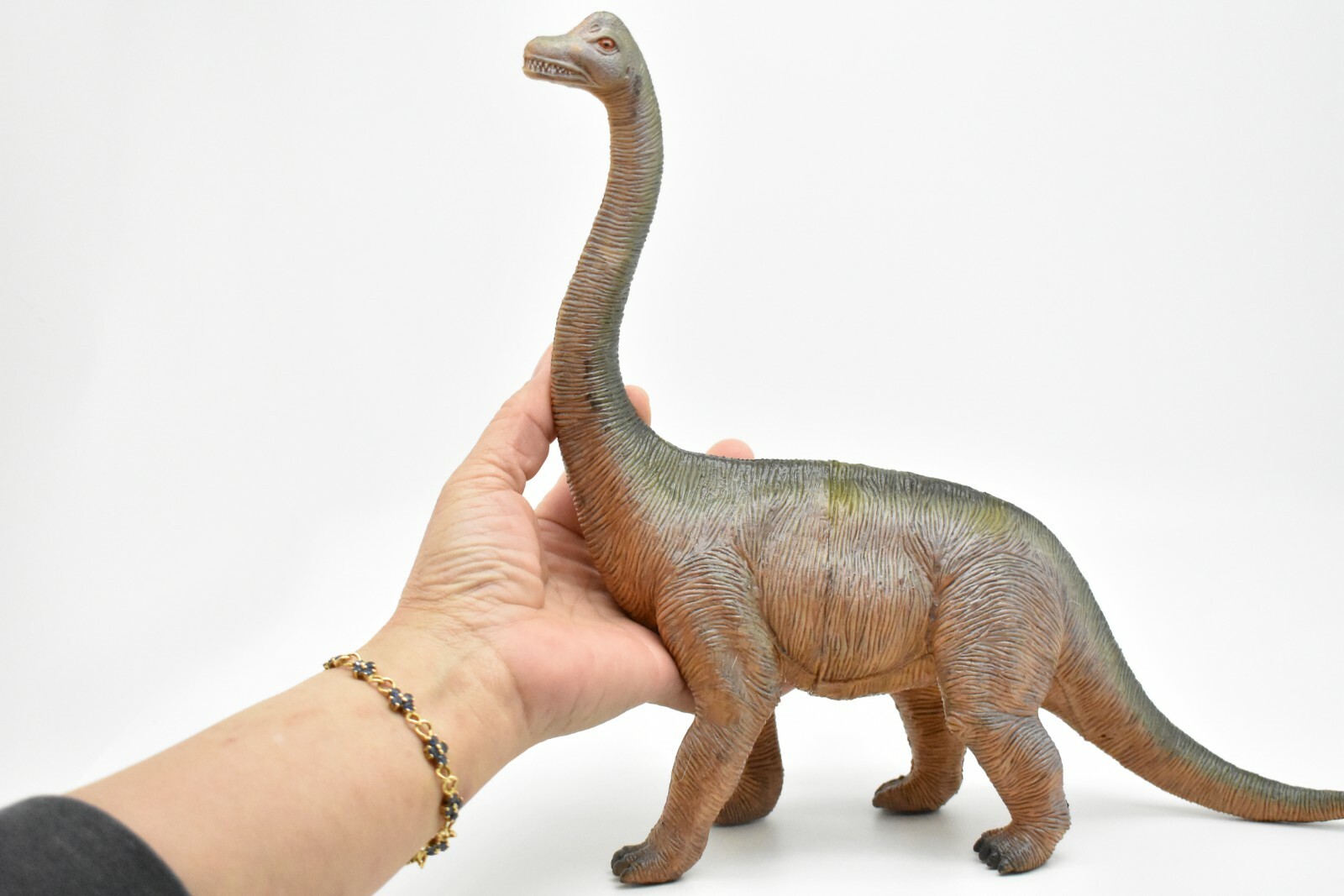 Brachiosaurus Toy, Dinosaur Model, Realistic Plastic Replica, 14″ CWG161 BB37