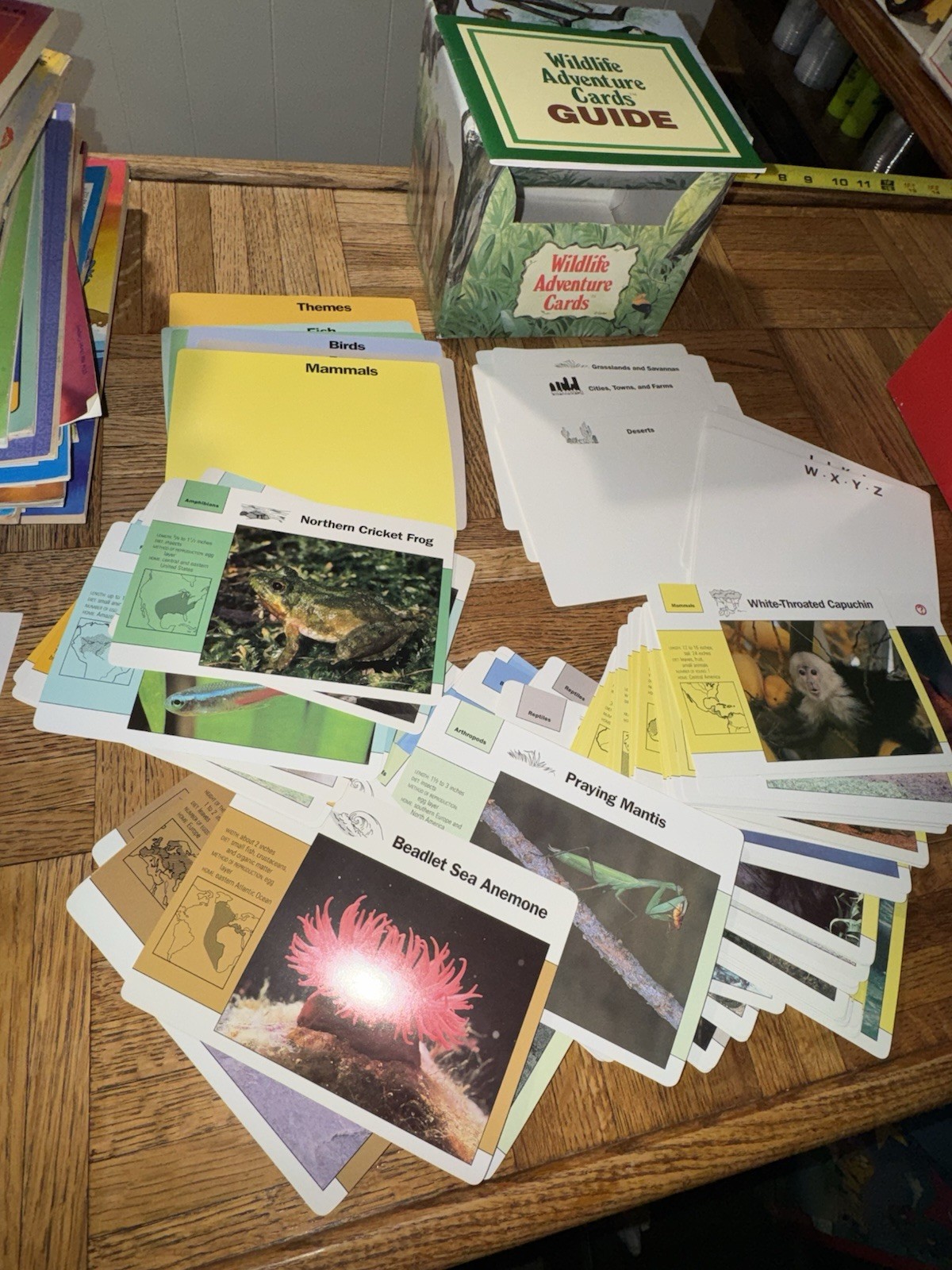 EUC! Wildlife Adventure Cards Educational Cards By Grolier 1991 Homeschooling