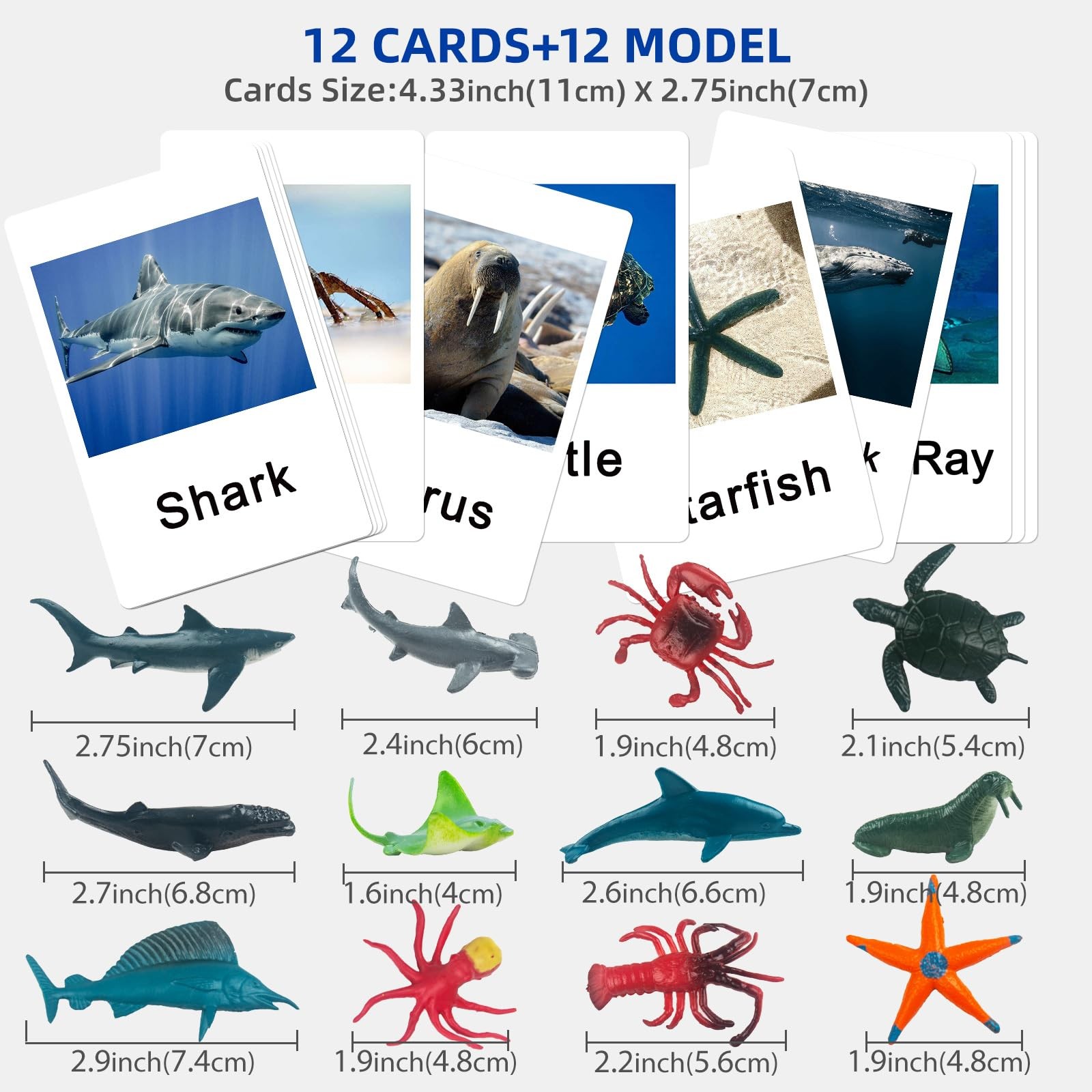 Montessori Animal Match Game Cards Marine Animal Matching Montessori Language…