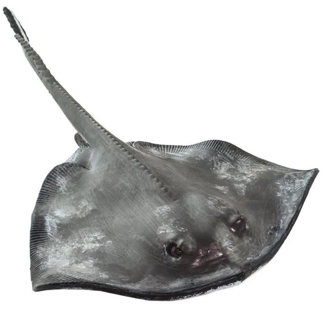 Sting Ray Figure – Hand Painted & Collectible Toy – Safari Ltd 100507