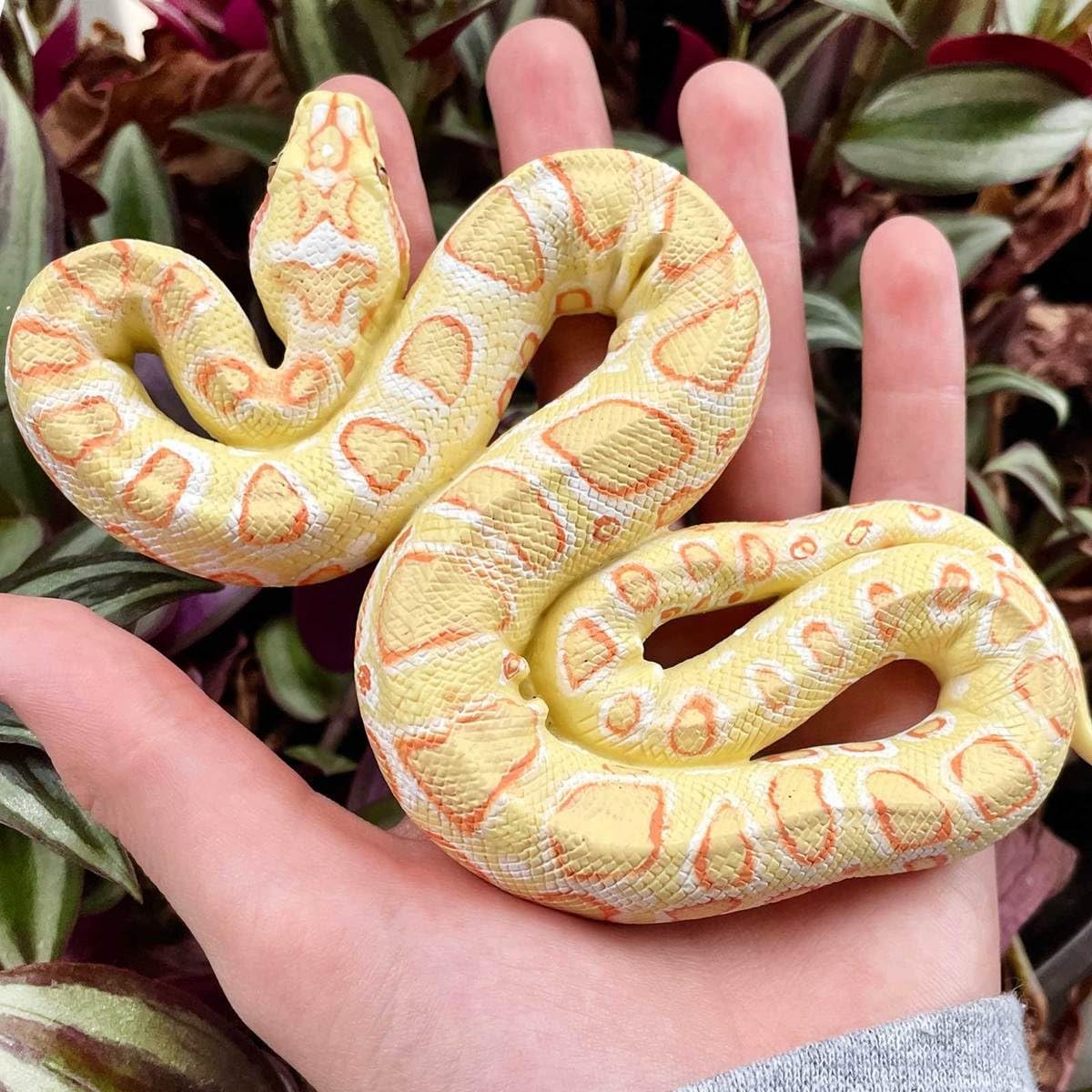 Safari Ltd. Albino Burmese Python Figurine – Lifelike 1 inch, Multicoloured