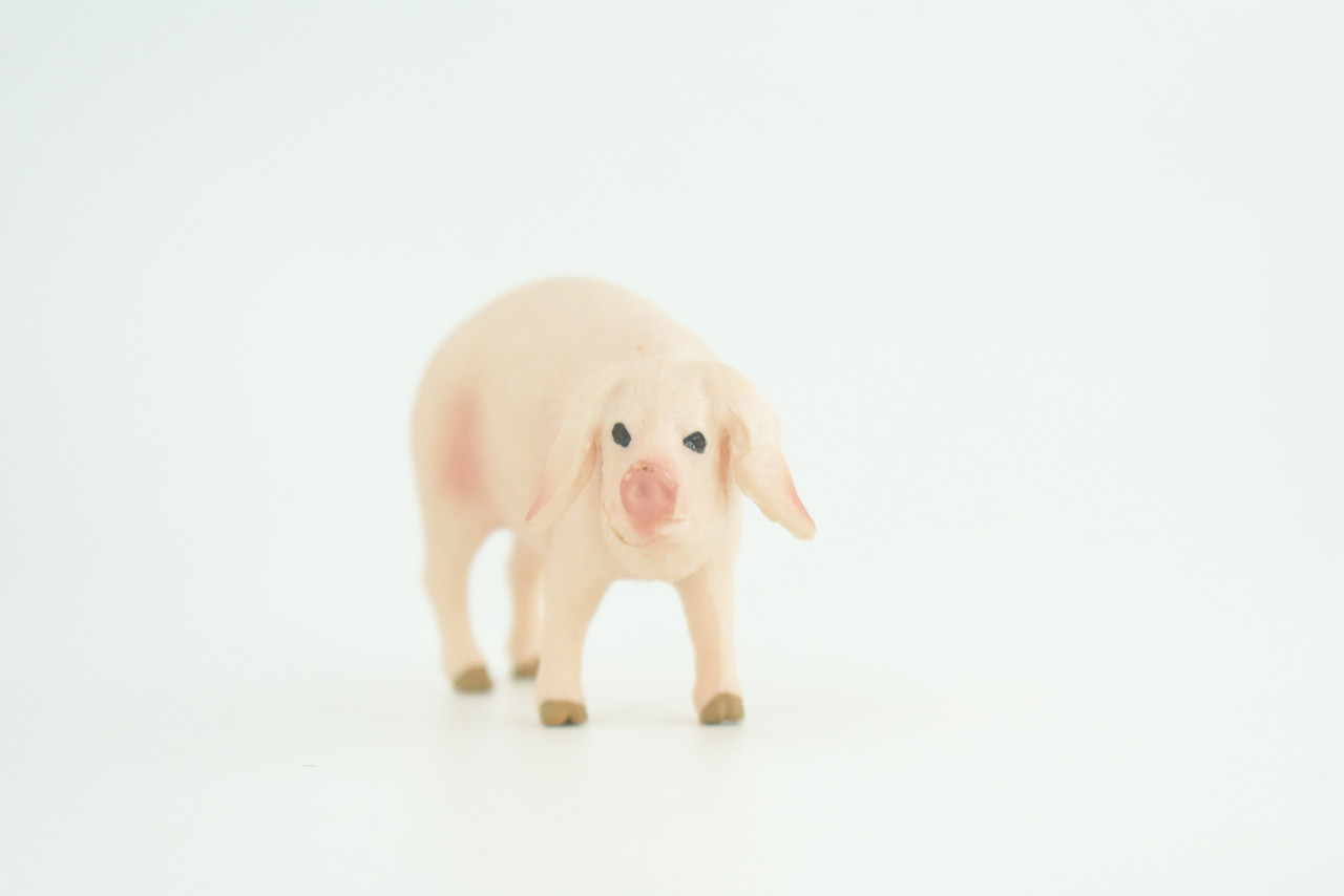 Toy Pig, Farm Animal, Realistic Hand Painted Rubber Model, 4 Inches CH975 BB213