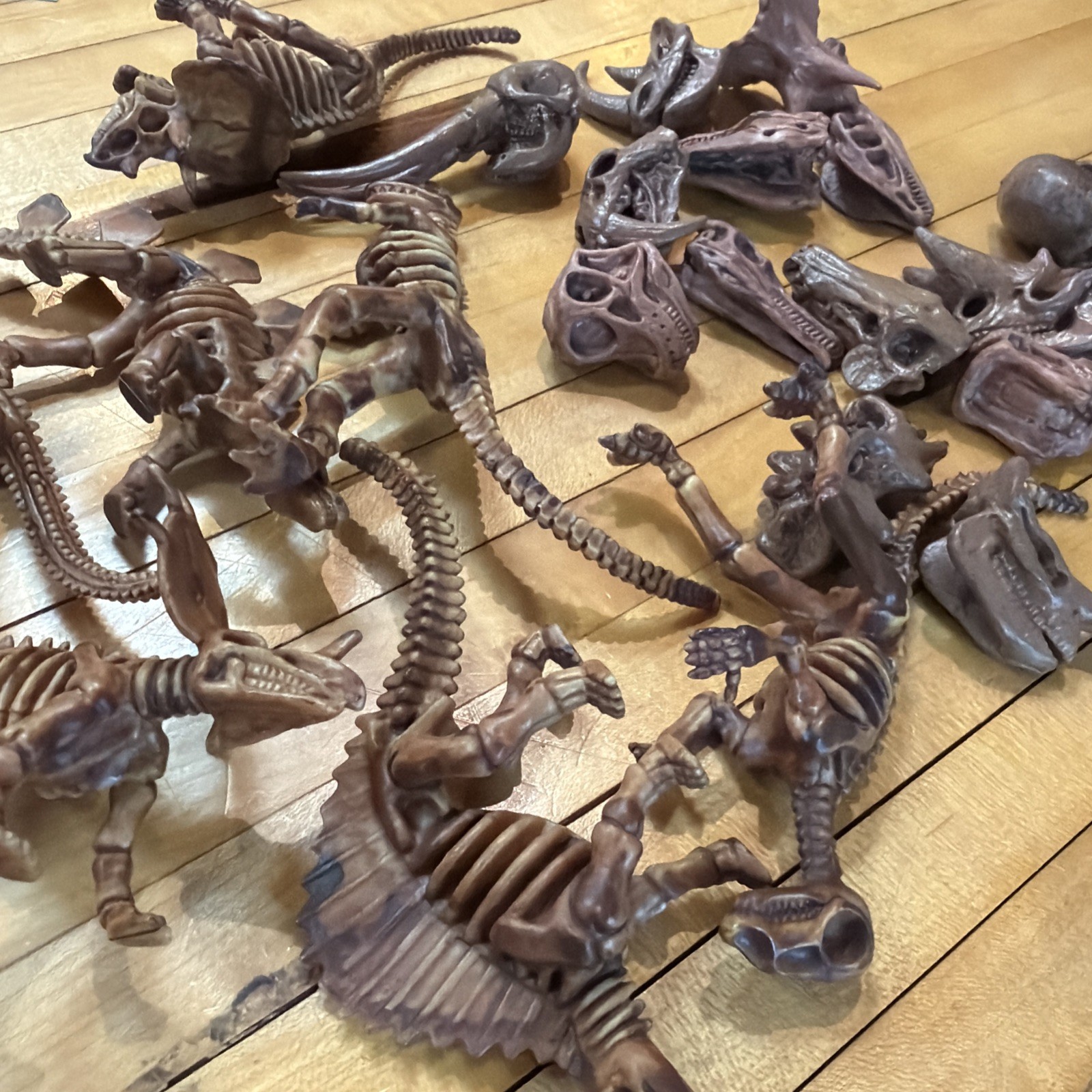 Lot Of Toy Dinosaur Bones Skulls Skeletons For Sensory Table