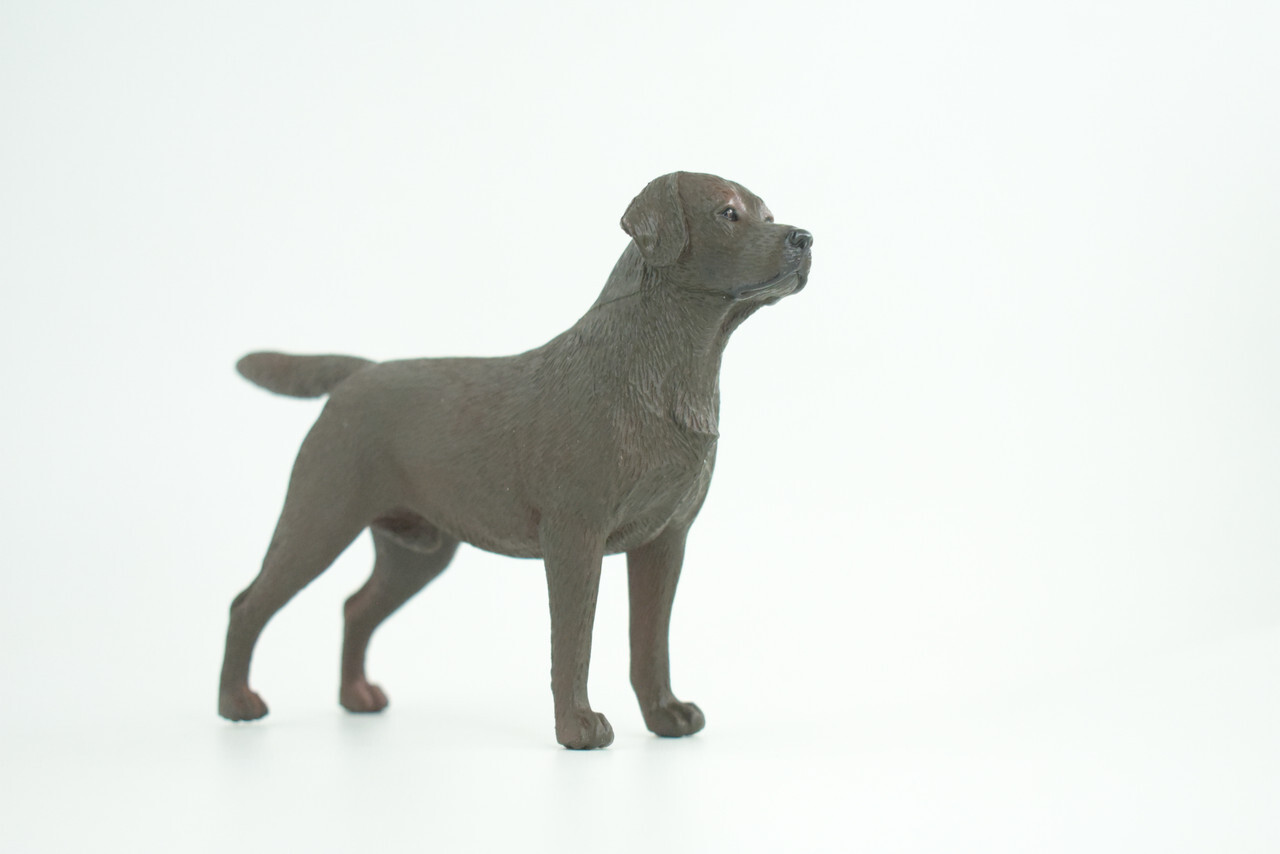 Labrador Dog Toy, Chocolate, Brown, Realistic Hand Painted 6 Inches CH935 BB206