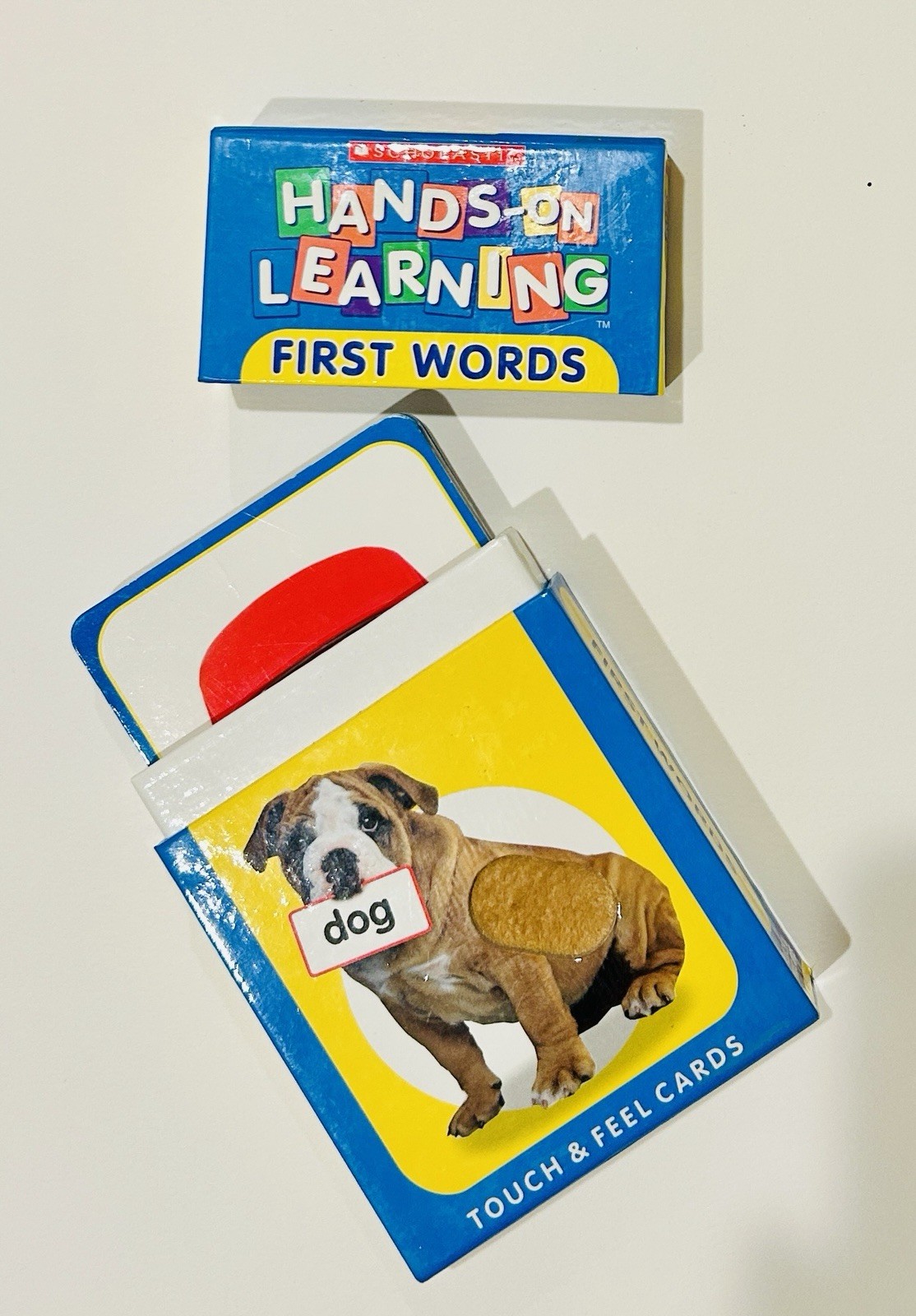Jane Gerver First Words Scholastic Hands-on Learning Cards