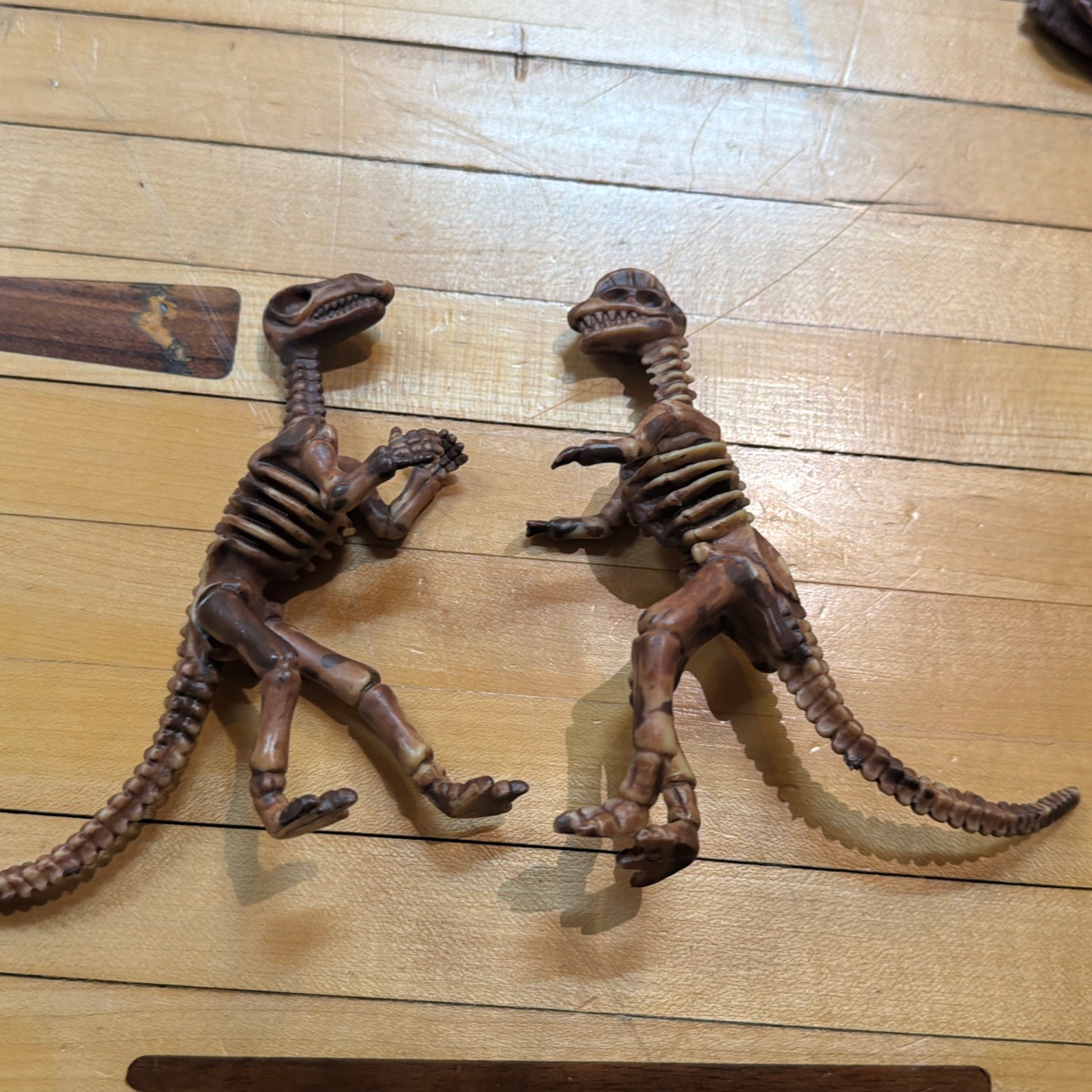 Lot Of Toy Dinosaur Bones Skulls Skeletons For Sensory Table
