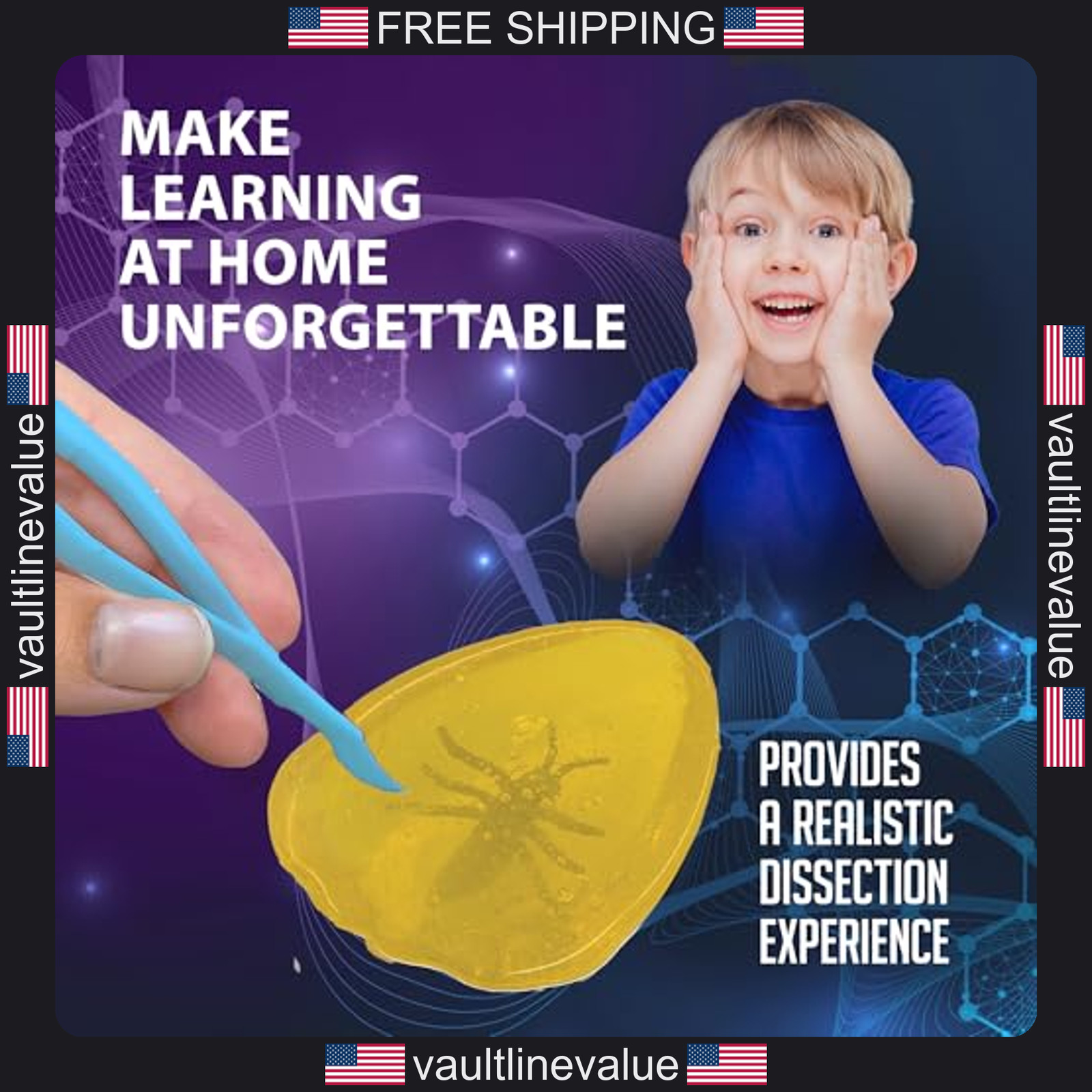 Discover-It Dissection Kit Learn About Insects STEM Science Toy Kids Age 5+
