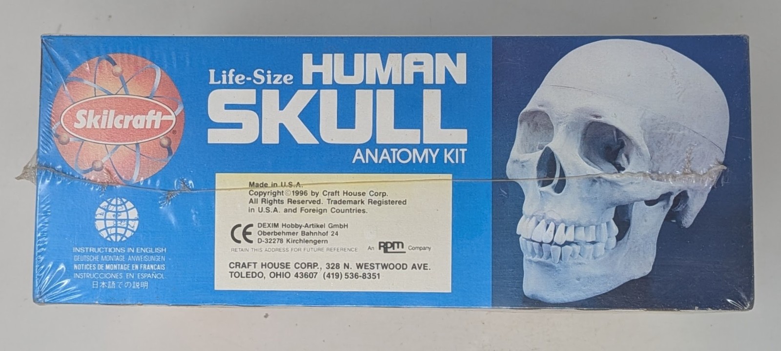 Vintage Skilcraft Life-Size Human Skull Anatomy Model Kit No. 74625 1996 – New