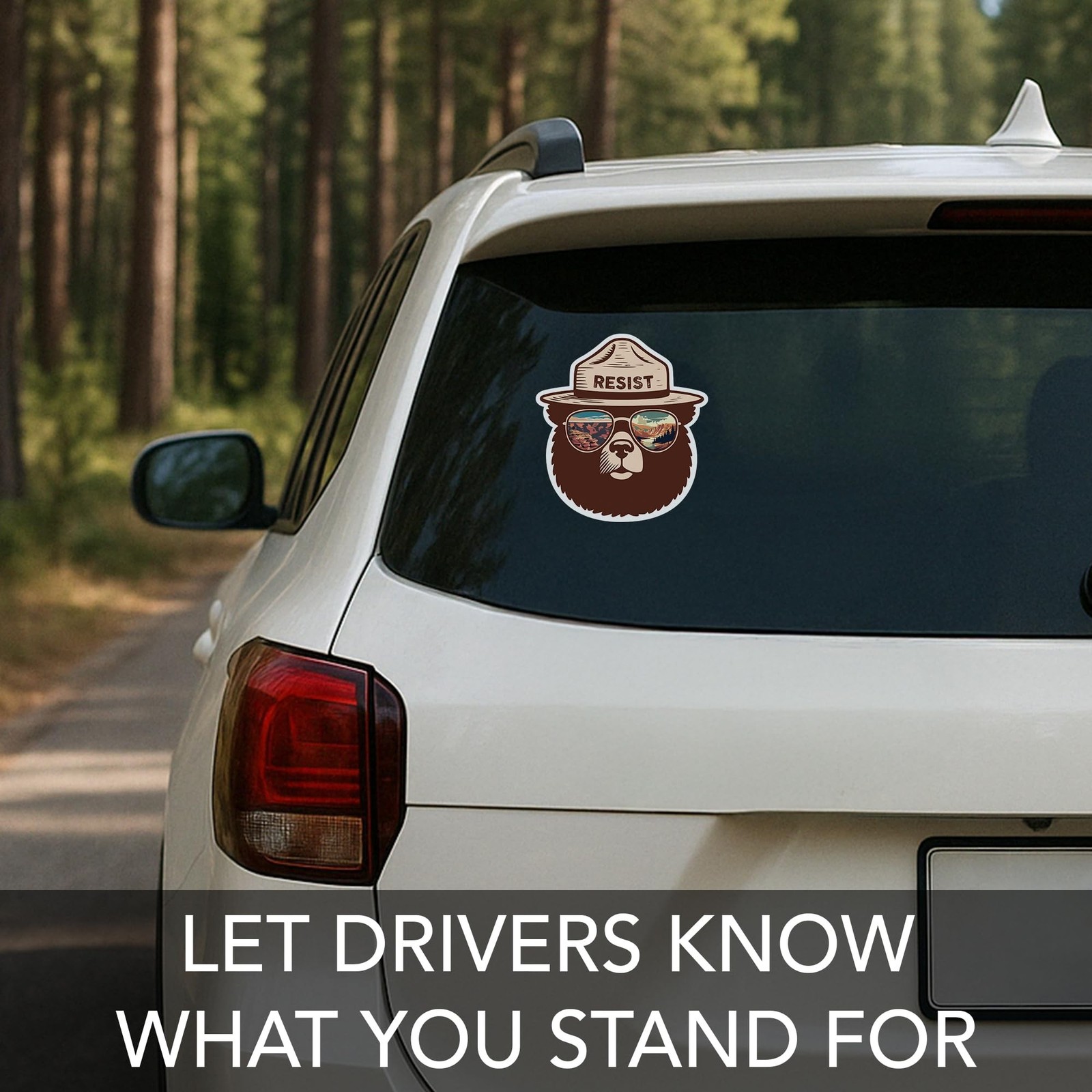 Funny Smokey The Bear Sticker, Smokey The Bear Resist Bumper Stickers for Car…