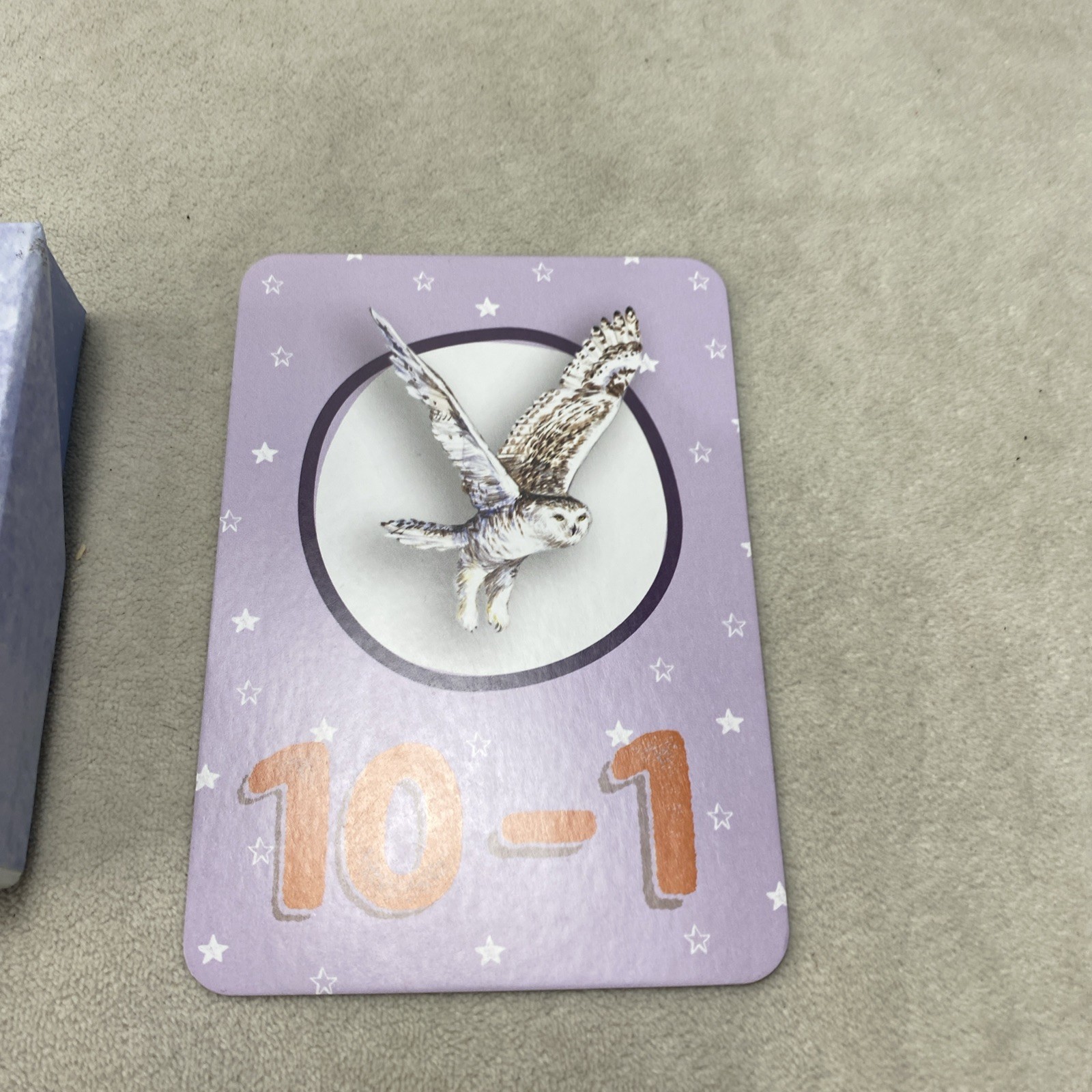 The Good And The Beautiful Snowy Owl Subtraction Math Game EXCELLENT CONDITION