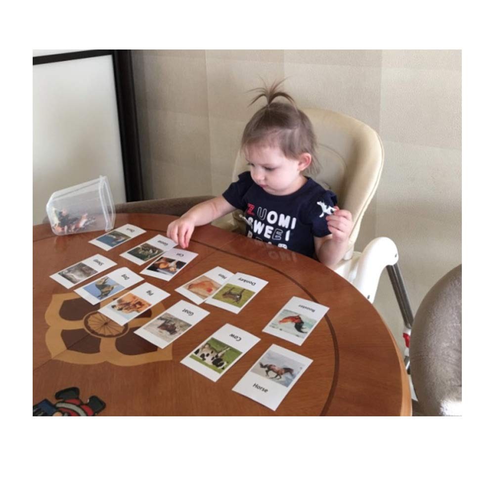 Montessori Animal Match Game Cards Marine Animal Matching Montessori Language…