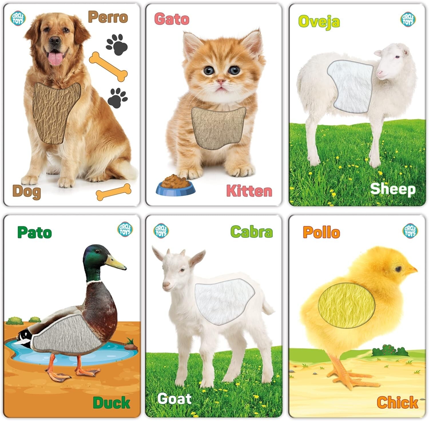 Touch and Feel English Spanish Bilingual Picture Toddler Kids Sensory Flash Card