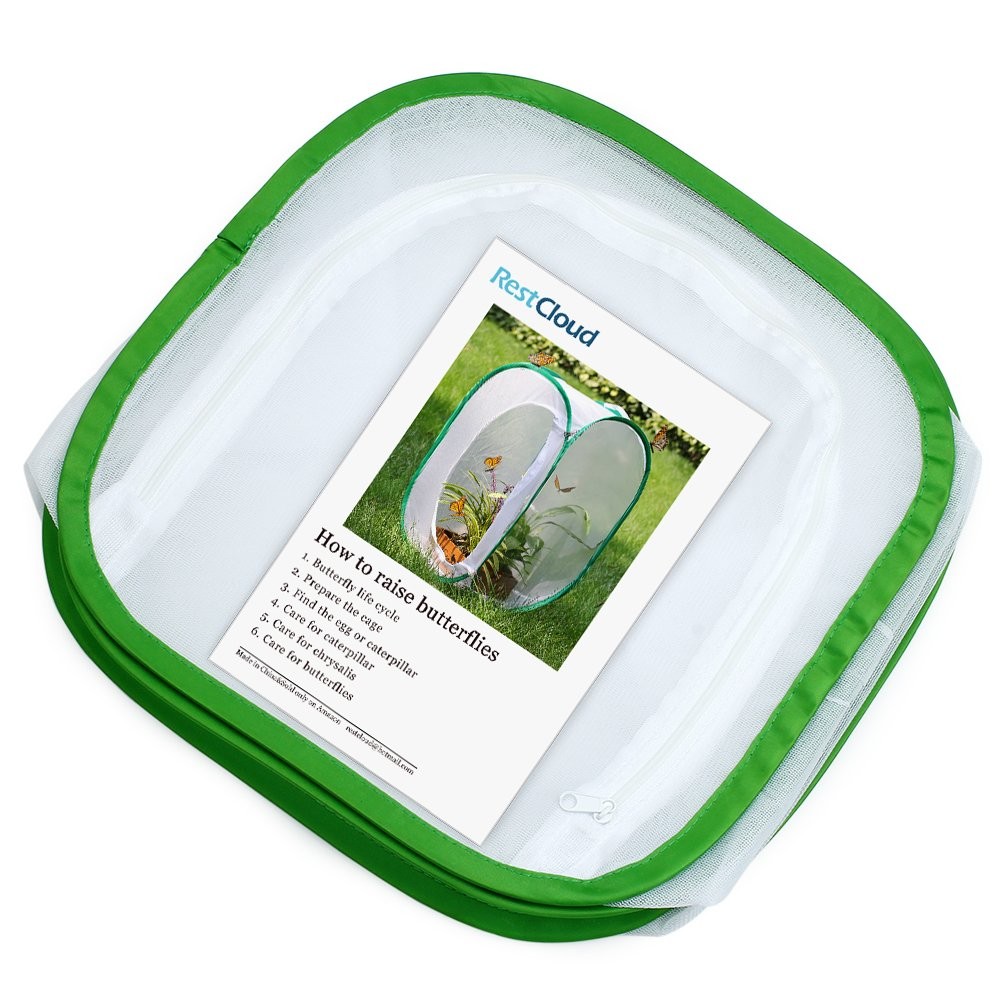 RESTCLOUD Insect and Butterfly Habitat 12 X 12 X 12 Inches, White with Green