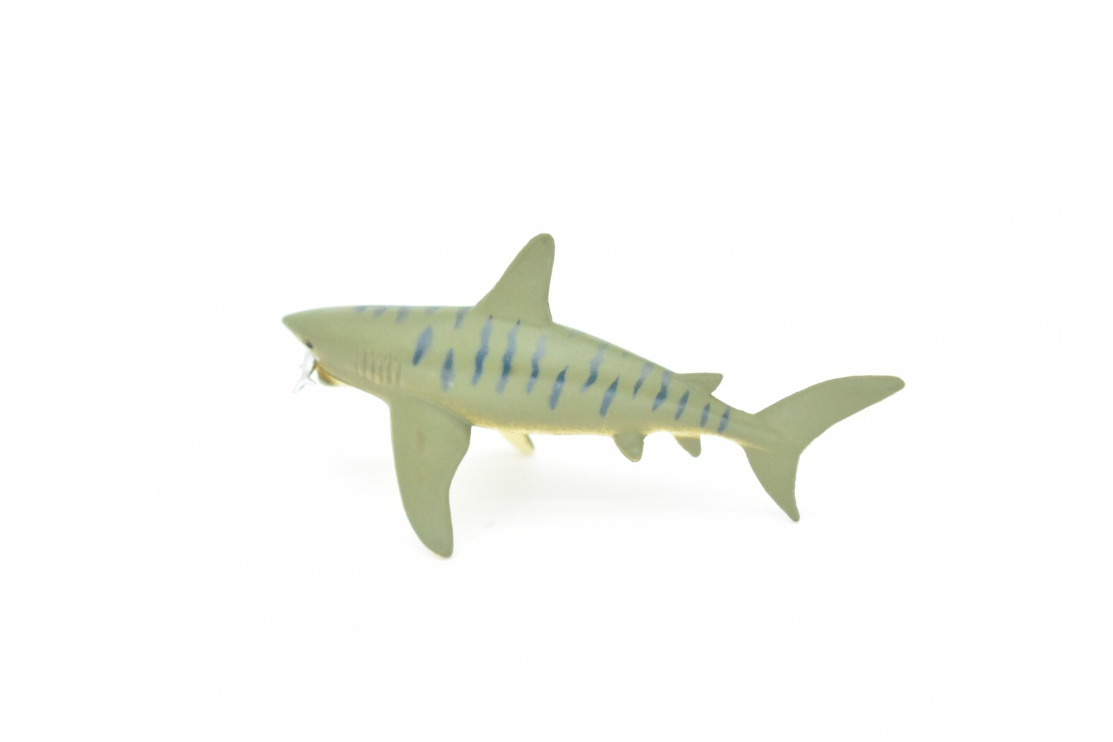 Tiger Shark, With Fish in Mouth, Very Nice Plastic Replica 3″ – F237 B76