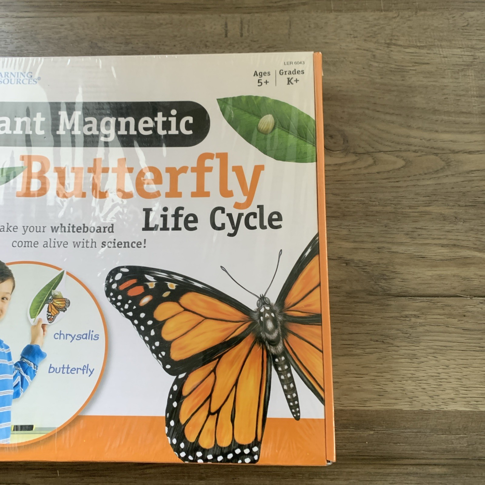 Brand New Magnetic Butterfly Life Cycle Learning Resources Write & Wipe Pieces