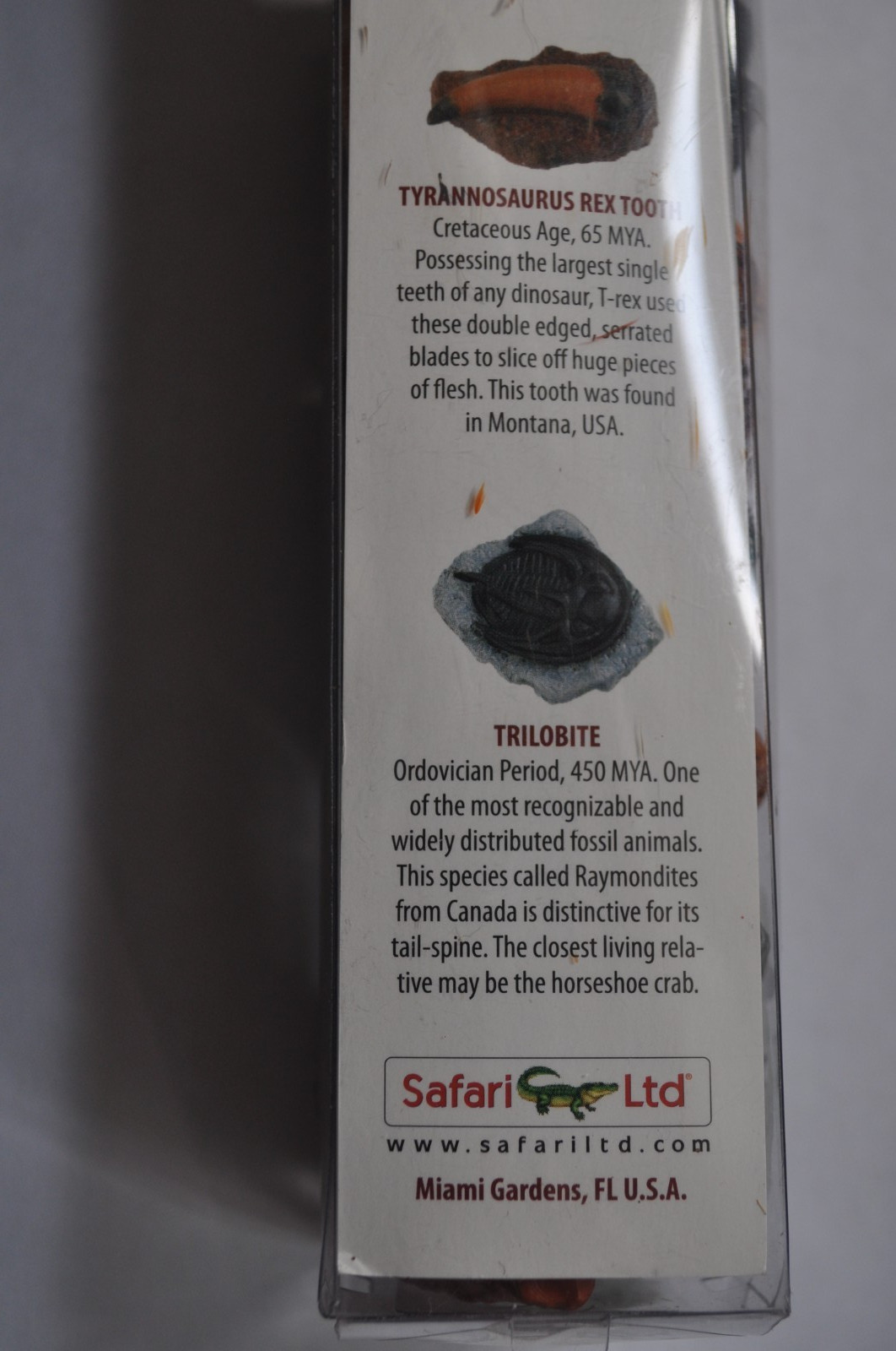 Safari Ltd Ancient Fossils Toob Miniature Collectibles 2009