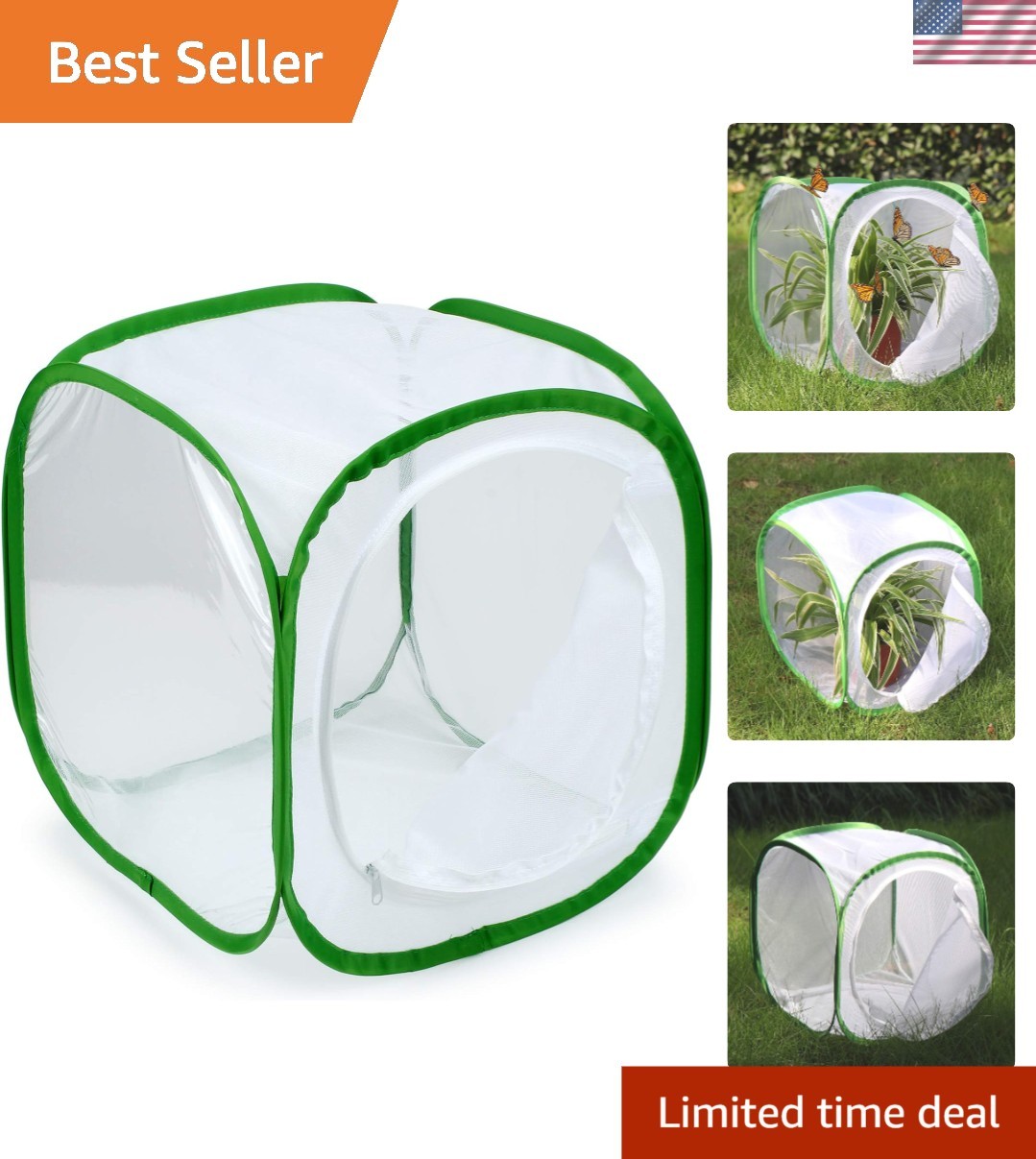 Insect and Cage Terrarium Pop-up 12 X 12 X 12 Inches