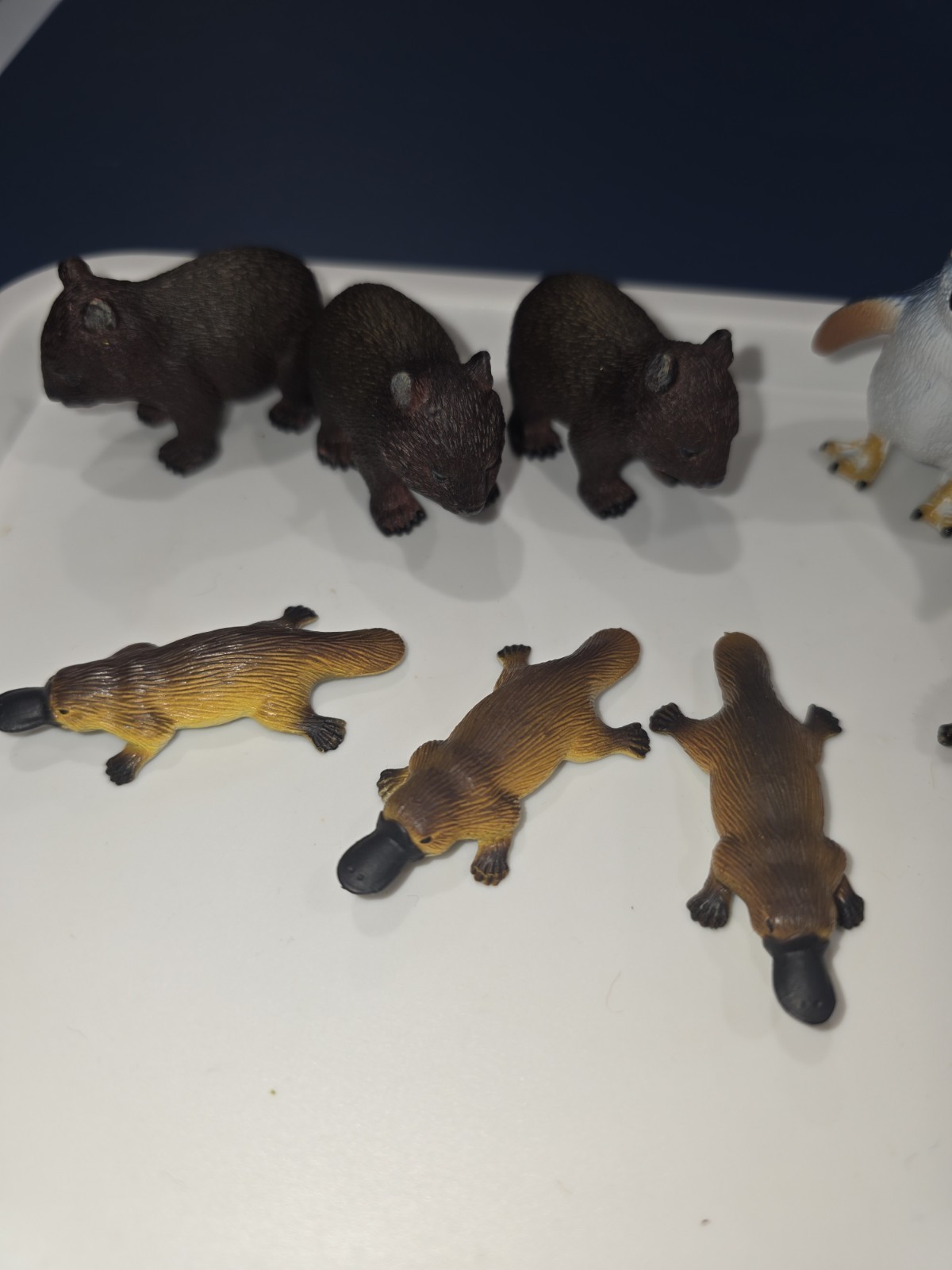 Australia Animal Toy Figures Penguin Wombat Echidna Platypus Science Nature